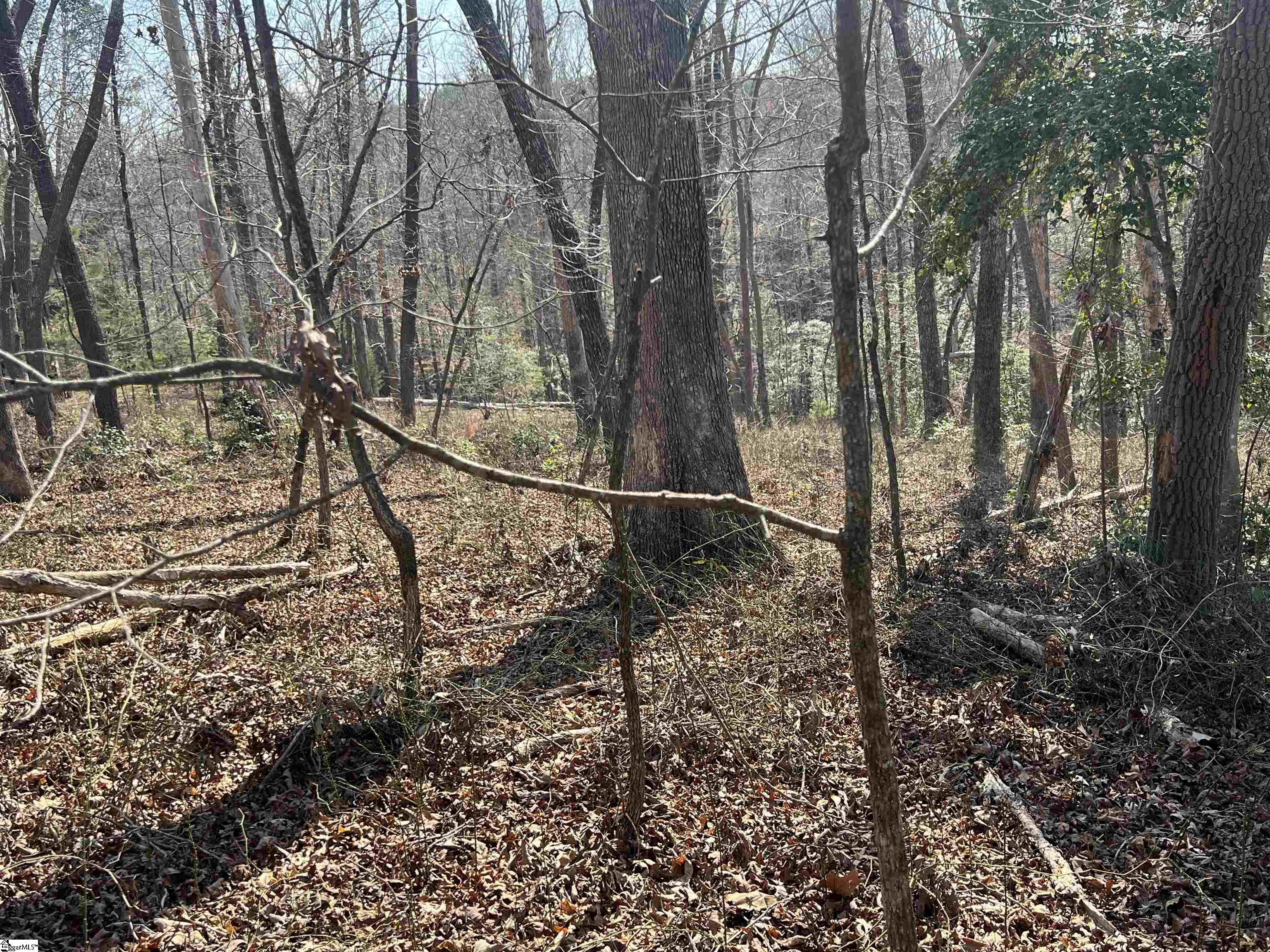 385 Country Oak, Chesnee, South Carolina image 27