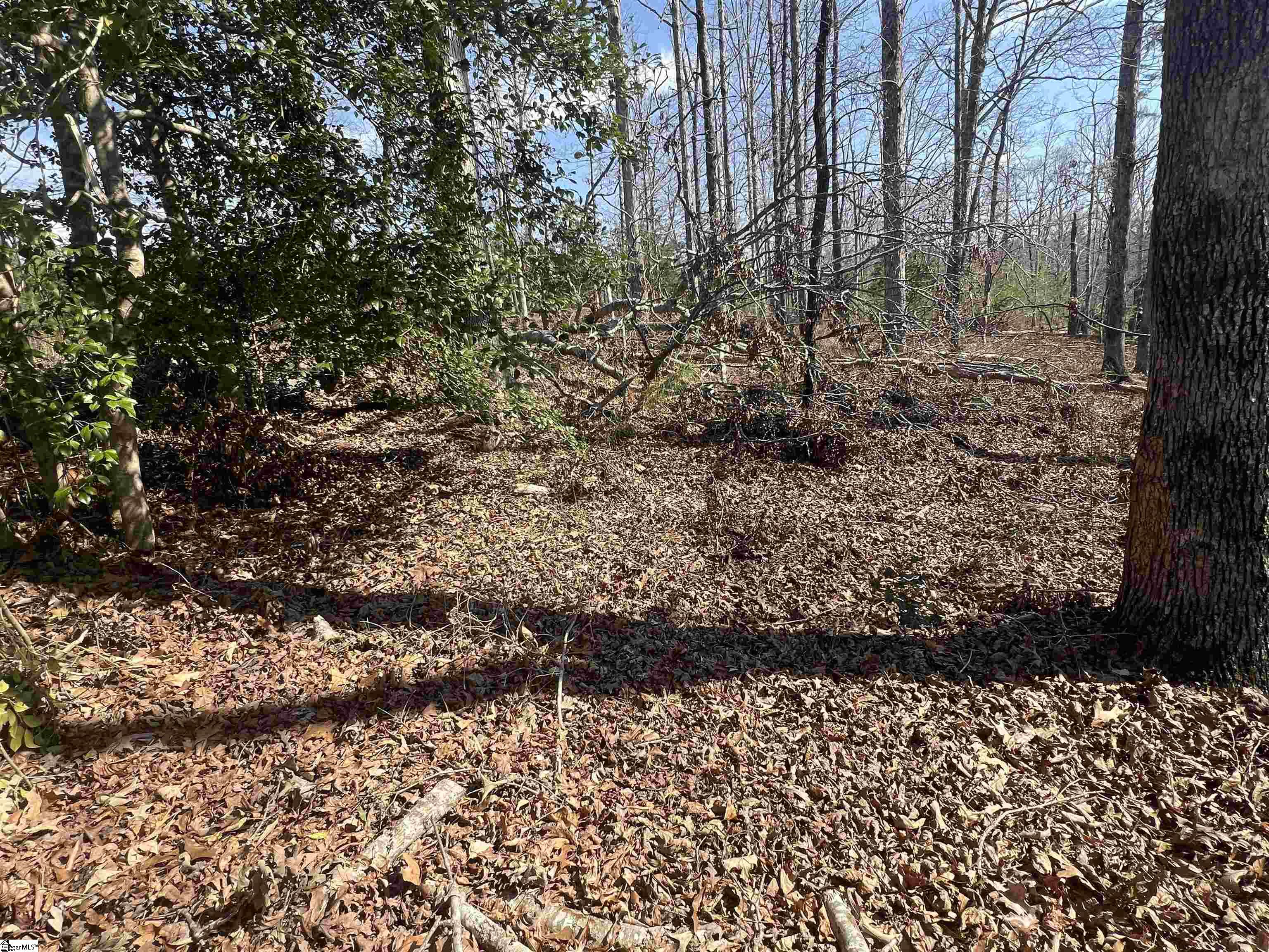 385 Country Oak, Chesnee, South Carolina image 28