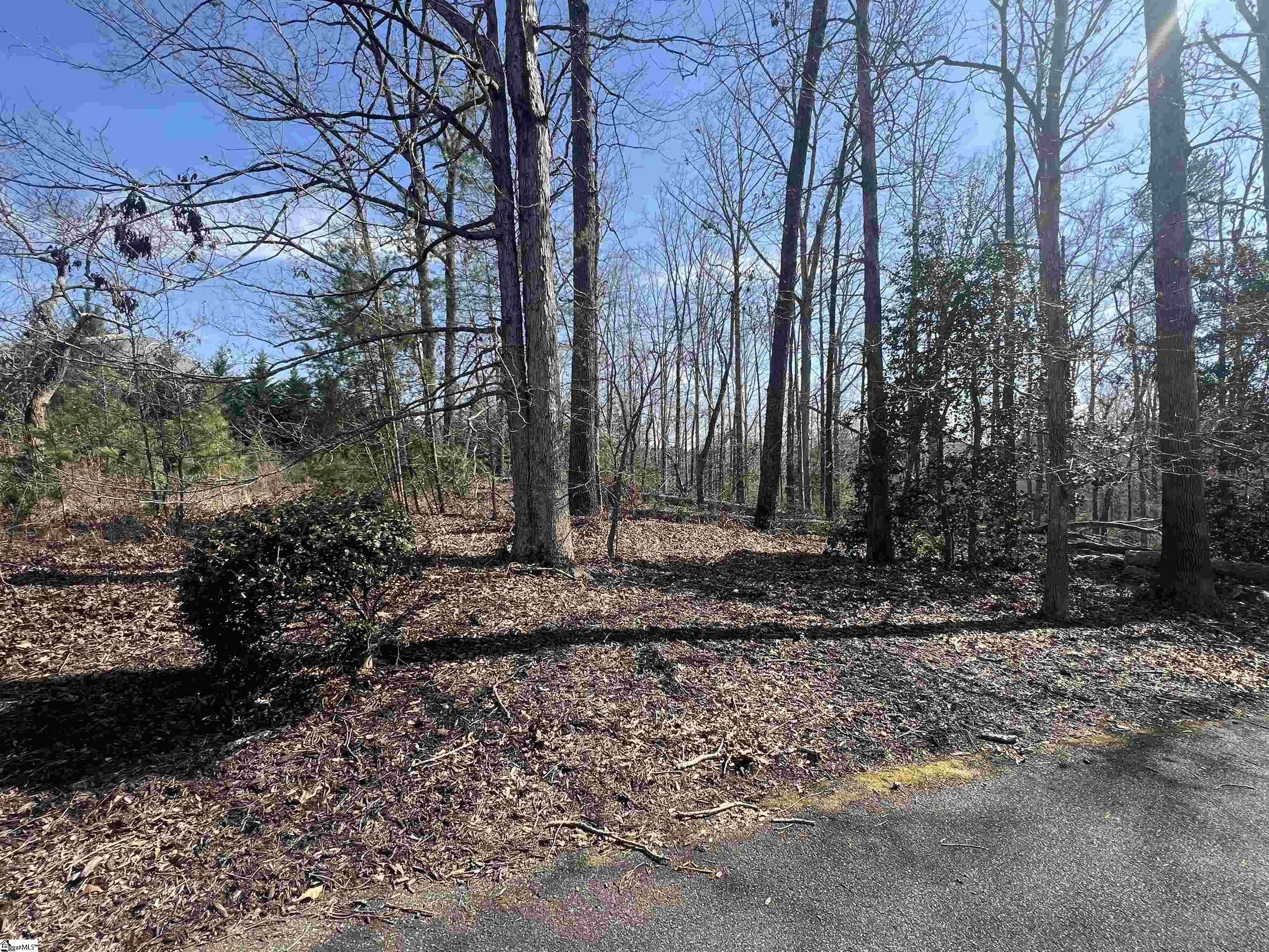 385 Country Oak, Chesnee, South Carolina image 30