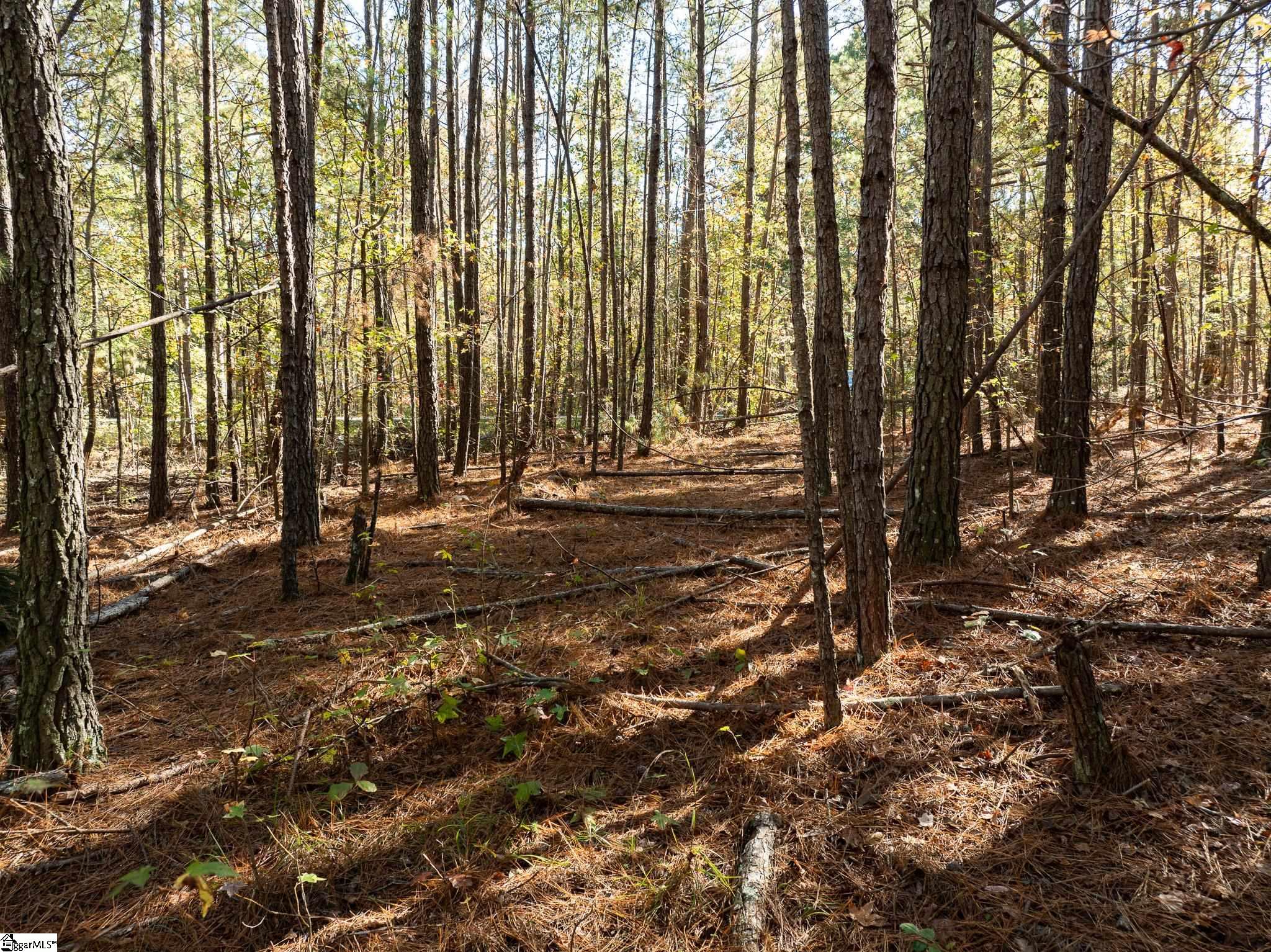 01 Simpson, Belton, South Carolina image 12