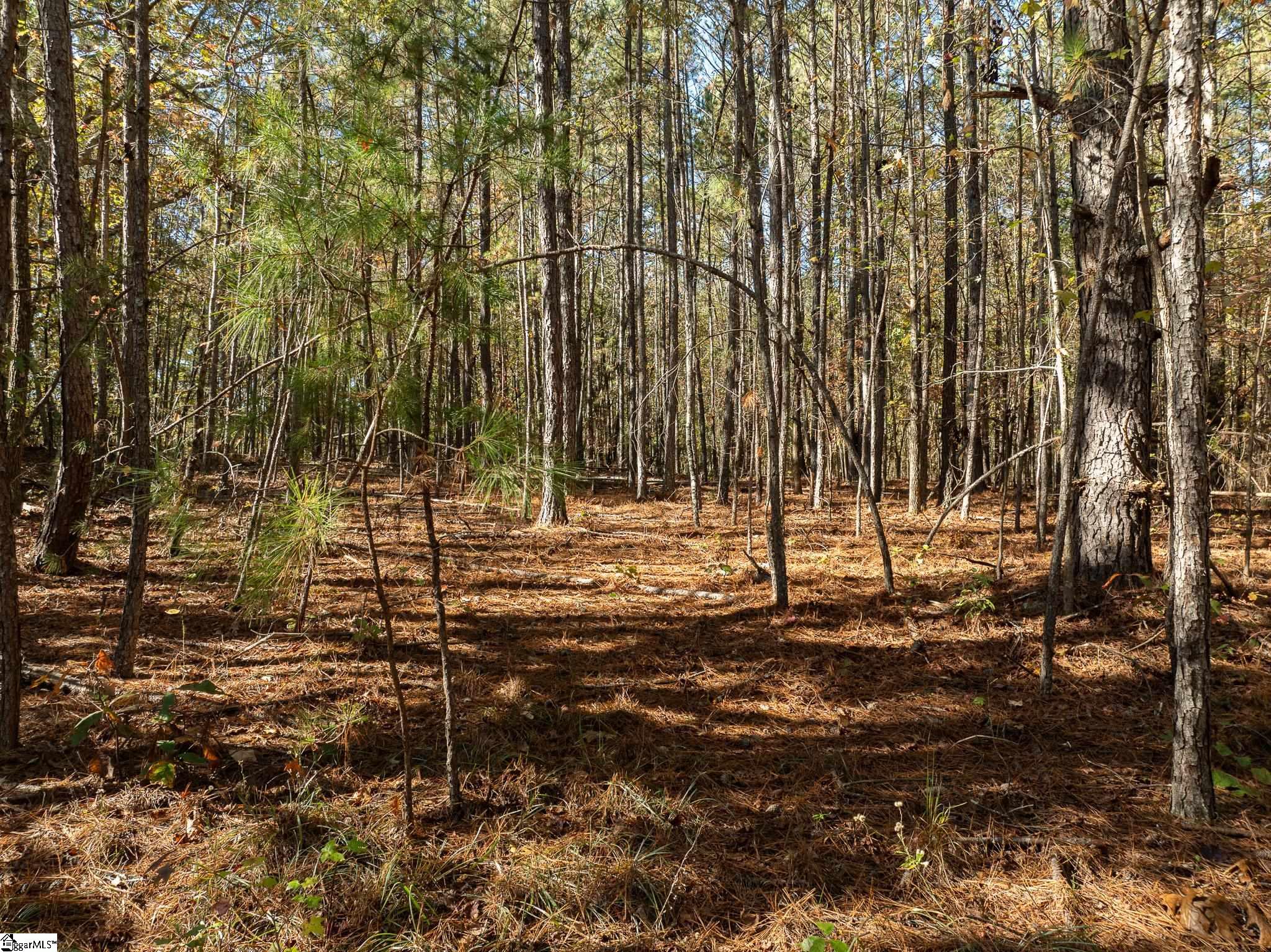 01 Simpson, Belton, South Carolina image 13