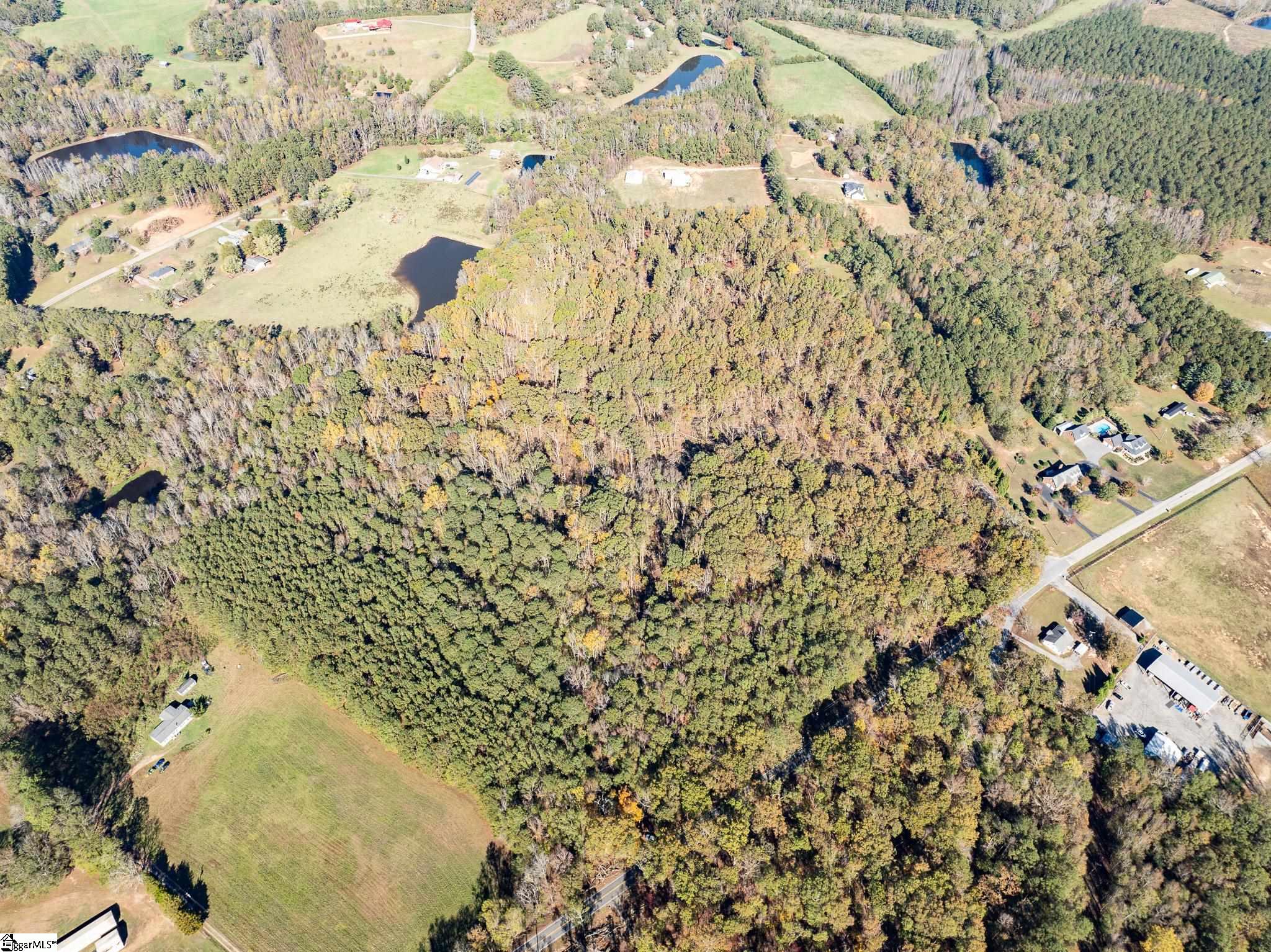 01 Simpson, Belton, South Carolina image 16