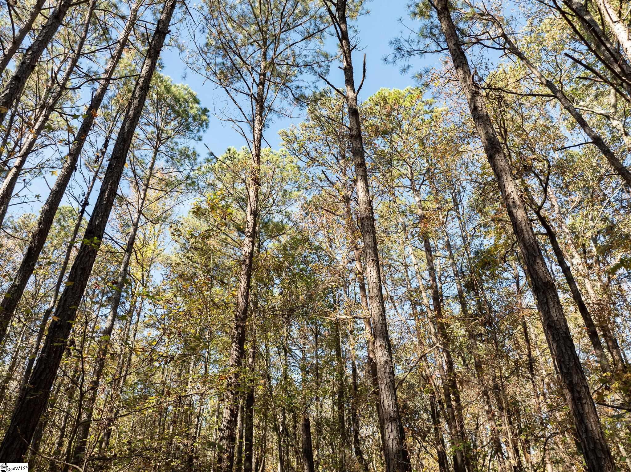 01 Simpson, Belton, South Carolina image 17