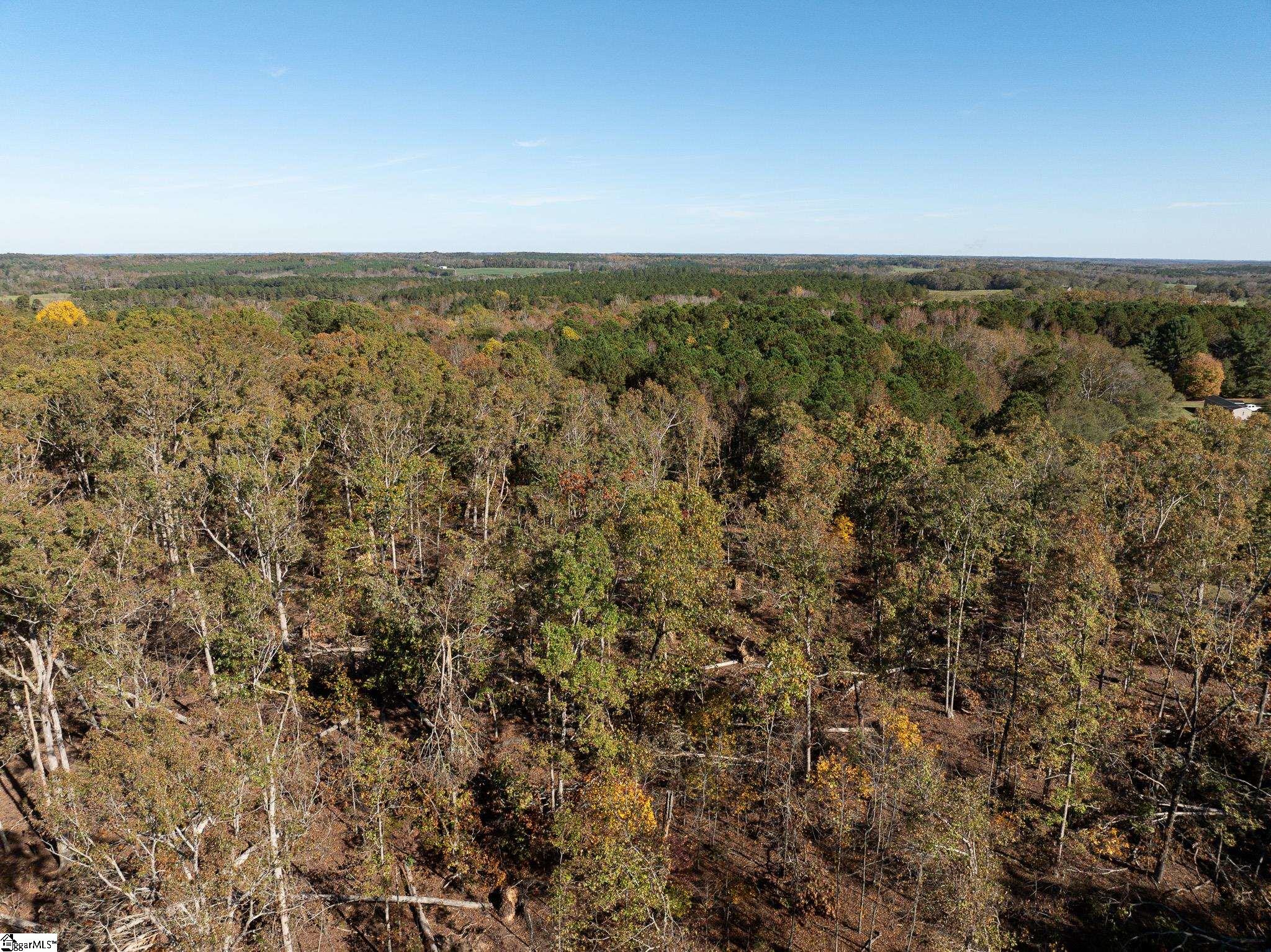 01 Simpson, Belton, South Carolina image 18