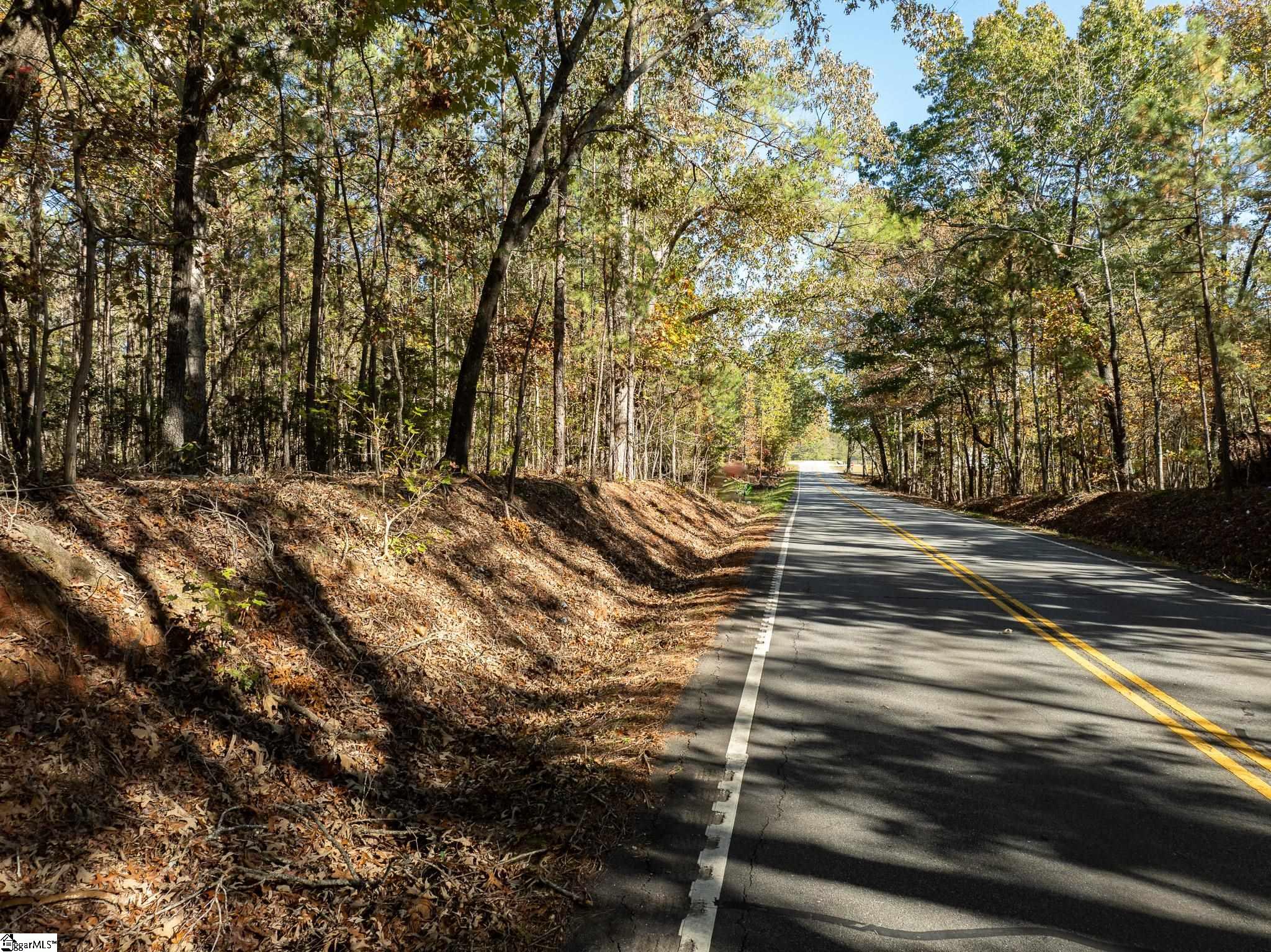01 Simpson, Belton, South Carolina image 4