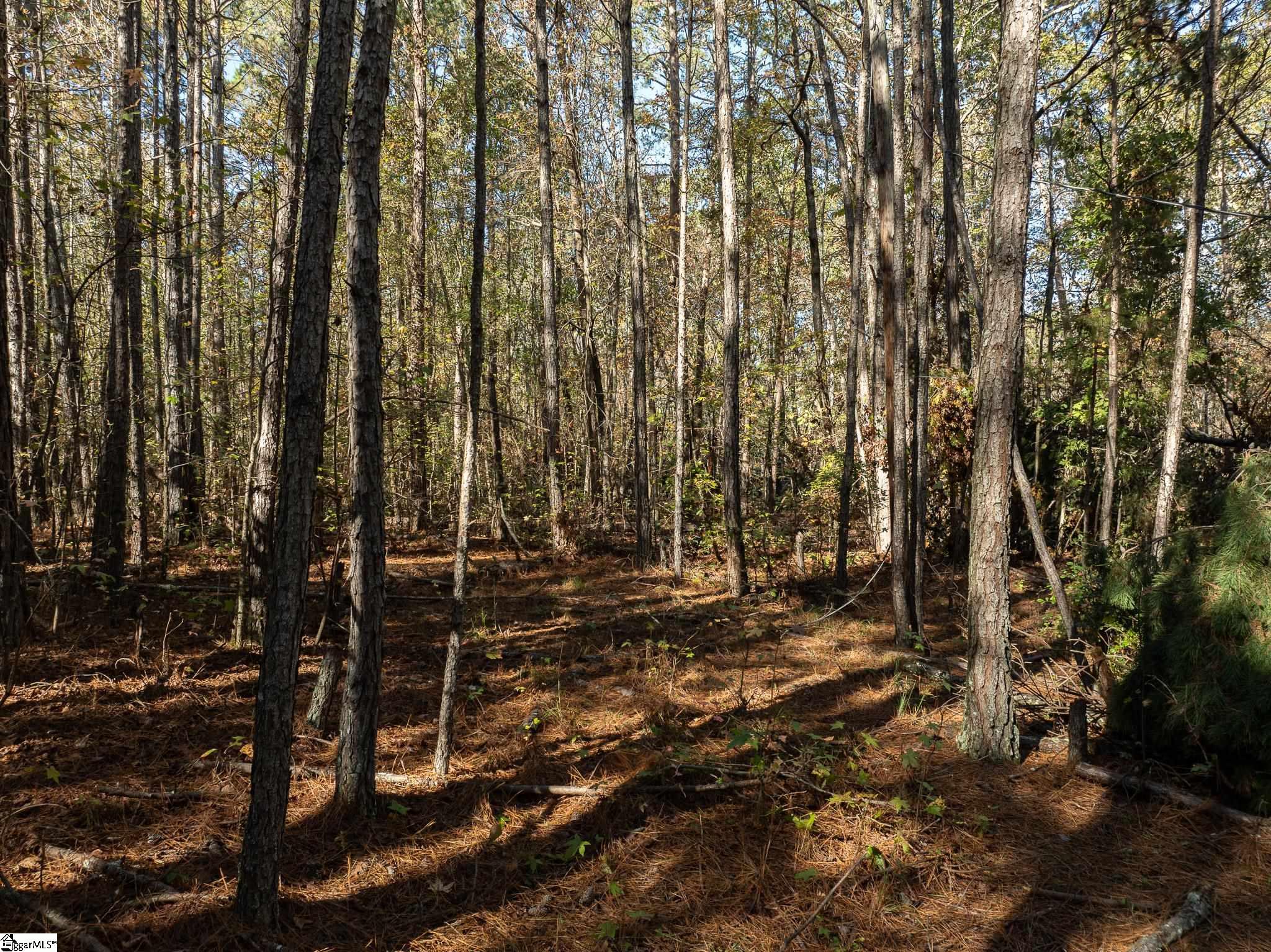 01 Simpson, Belton, South Carolina image 5