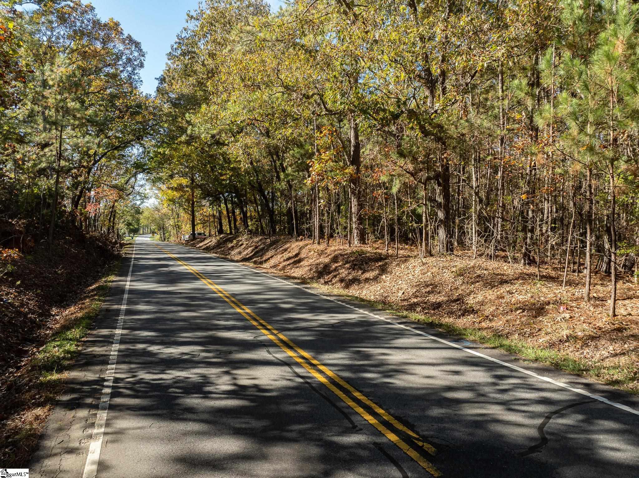 01 Simpson, Belton, South Carolina image 6