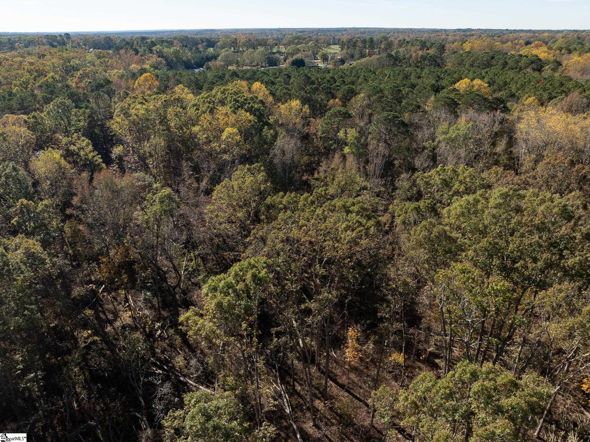 01 Simpson, Belton, South Carolina image 8