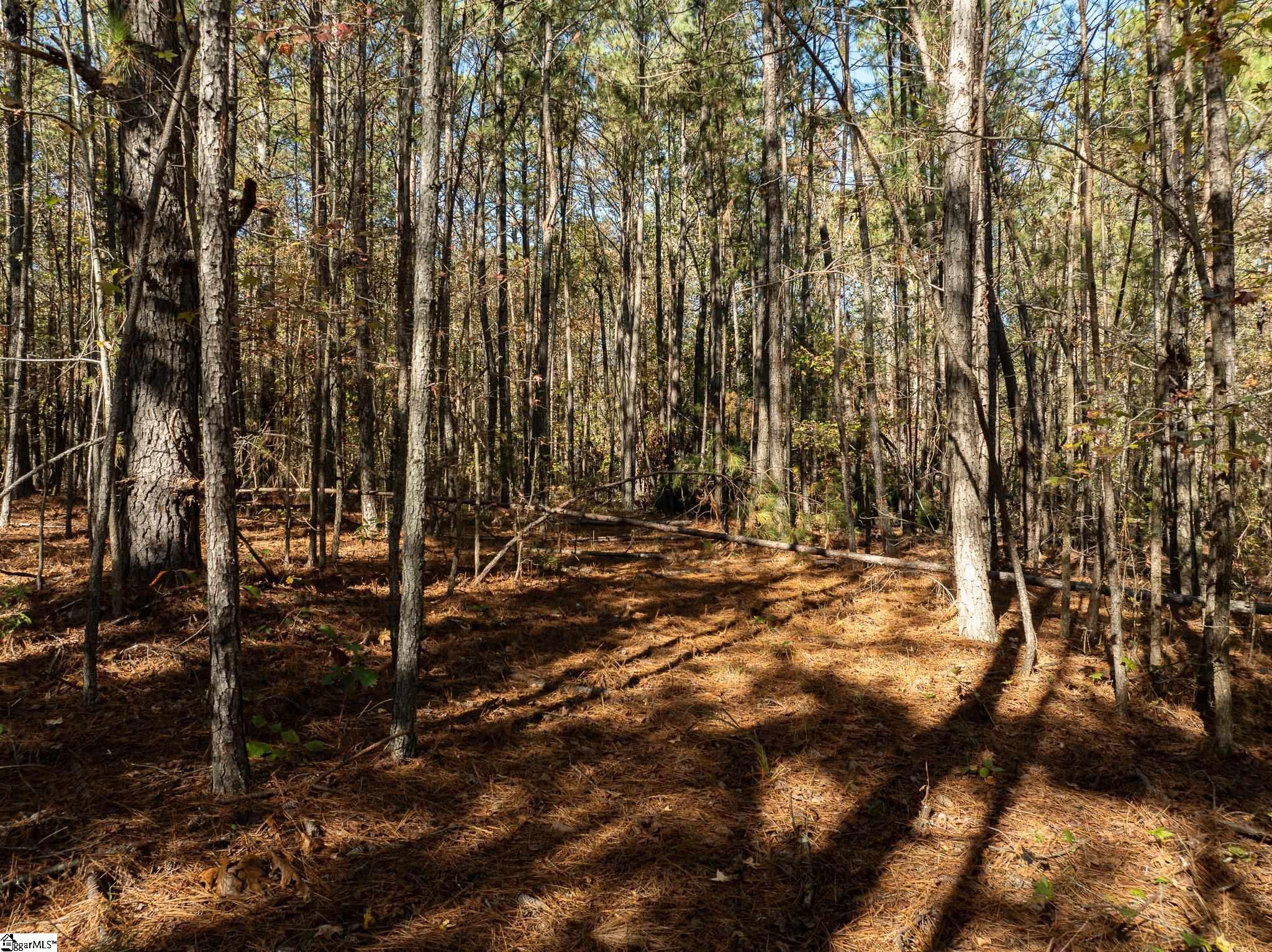 01 Simpson, Belton, South Carolina image 10