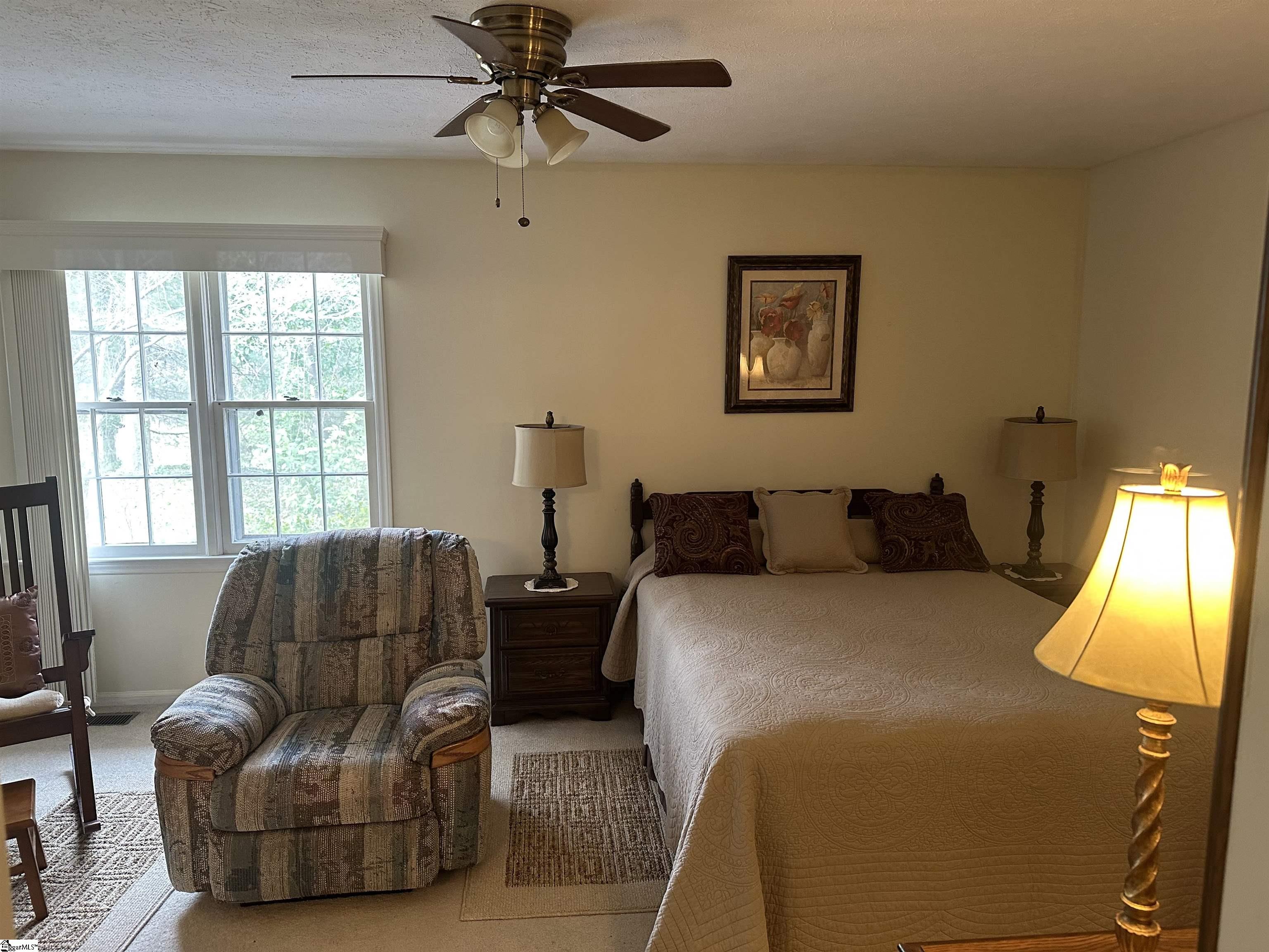 5 Overview, Spartanburg, South Carolina image 12