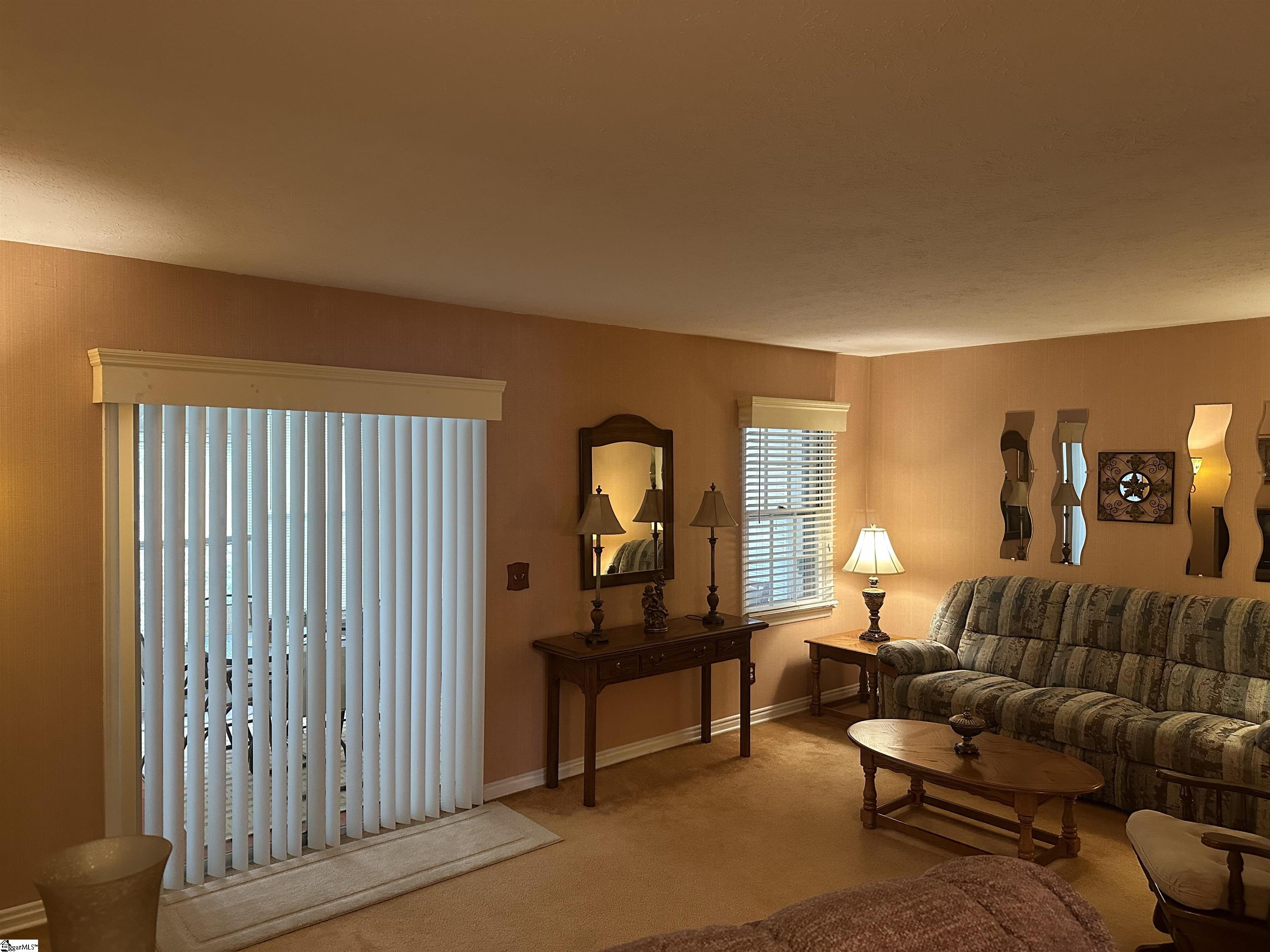 5 Overview, Spartanburg, South Carolina image 23
