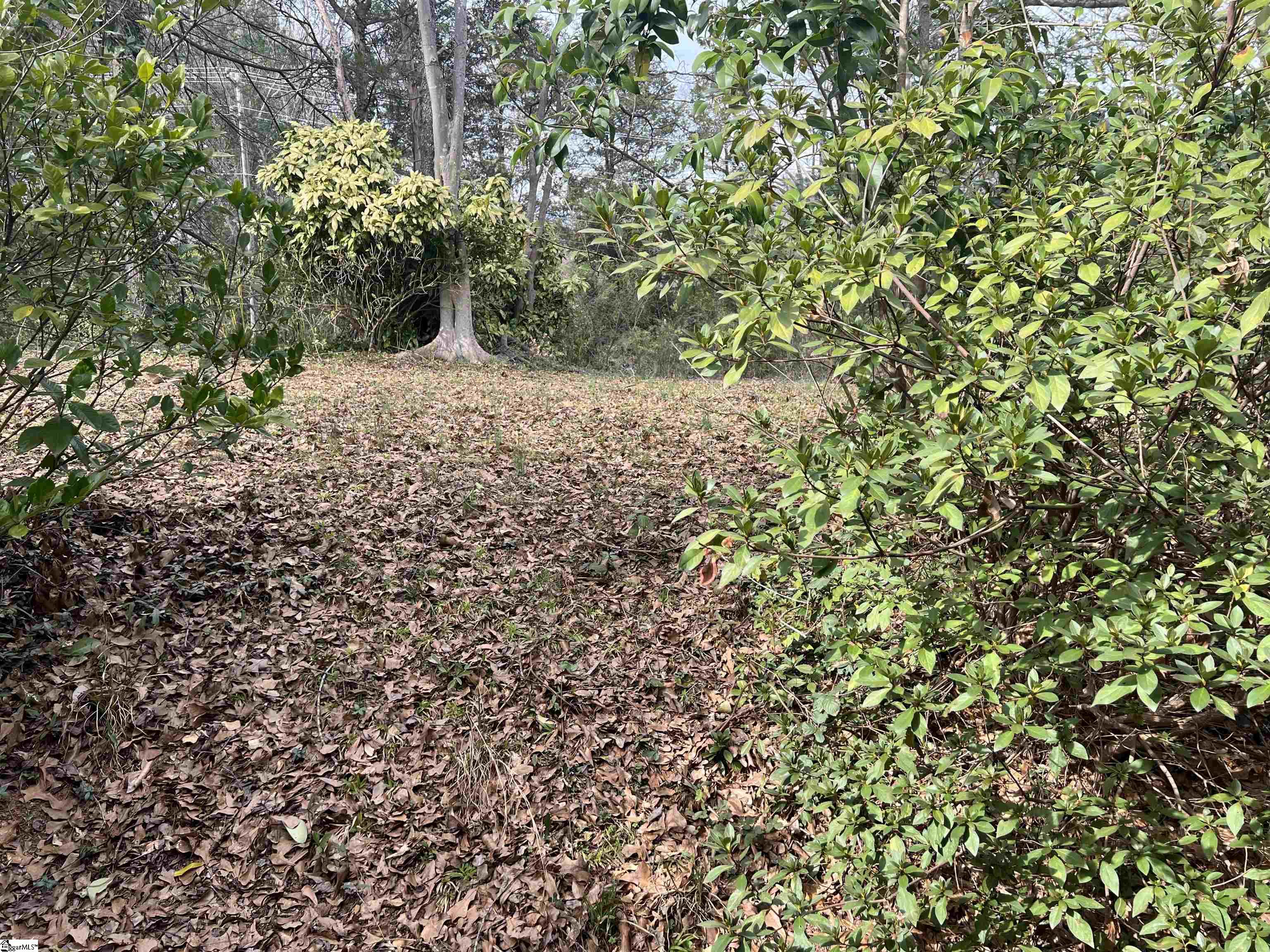 5 Overview, Spartanburg, South Carolina image 29