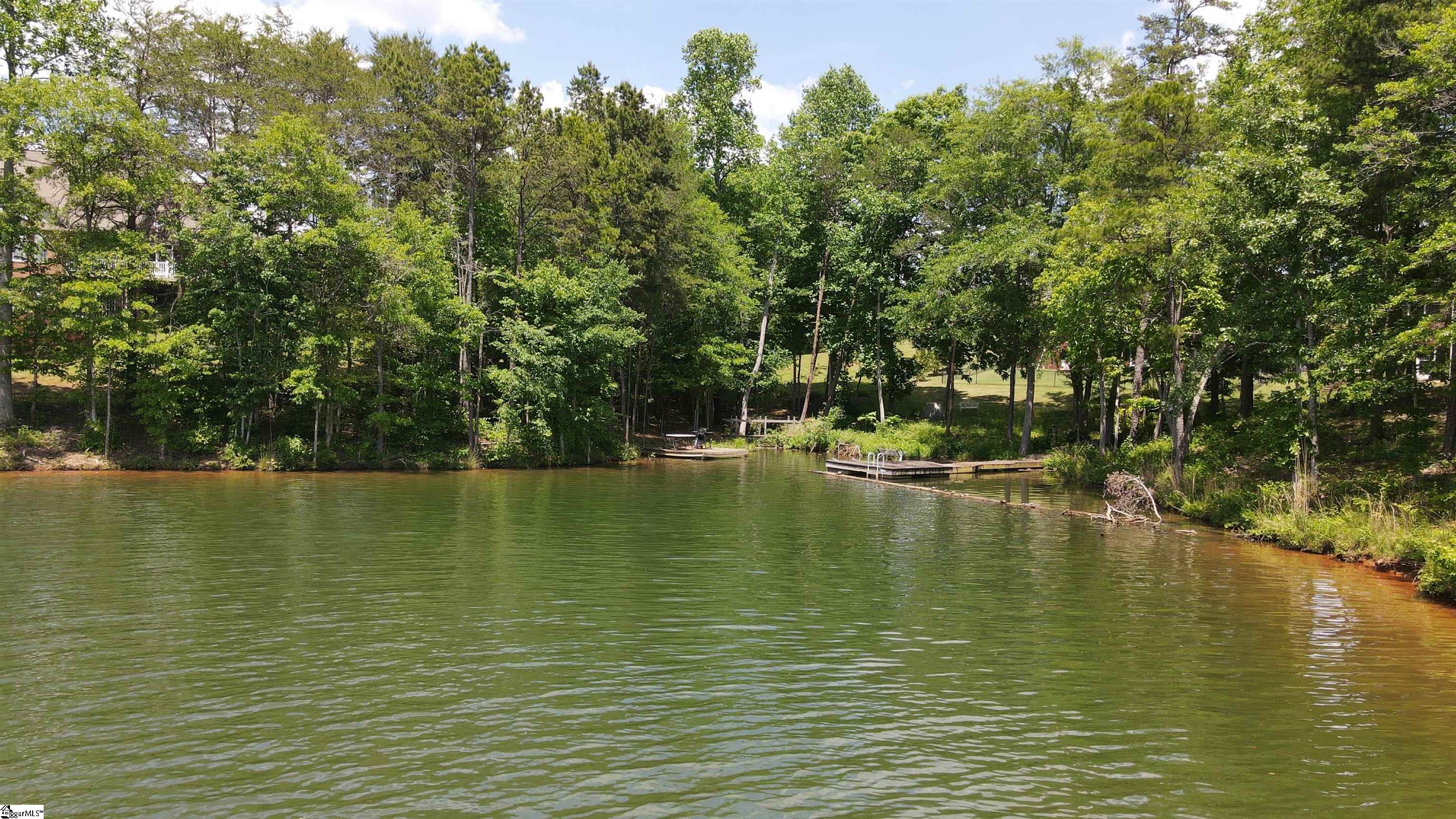 308 Shoreview, Chesnee, South Carolina image 5
