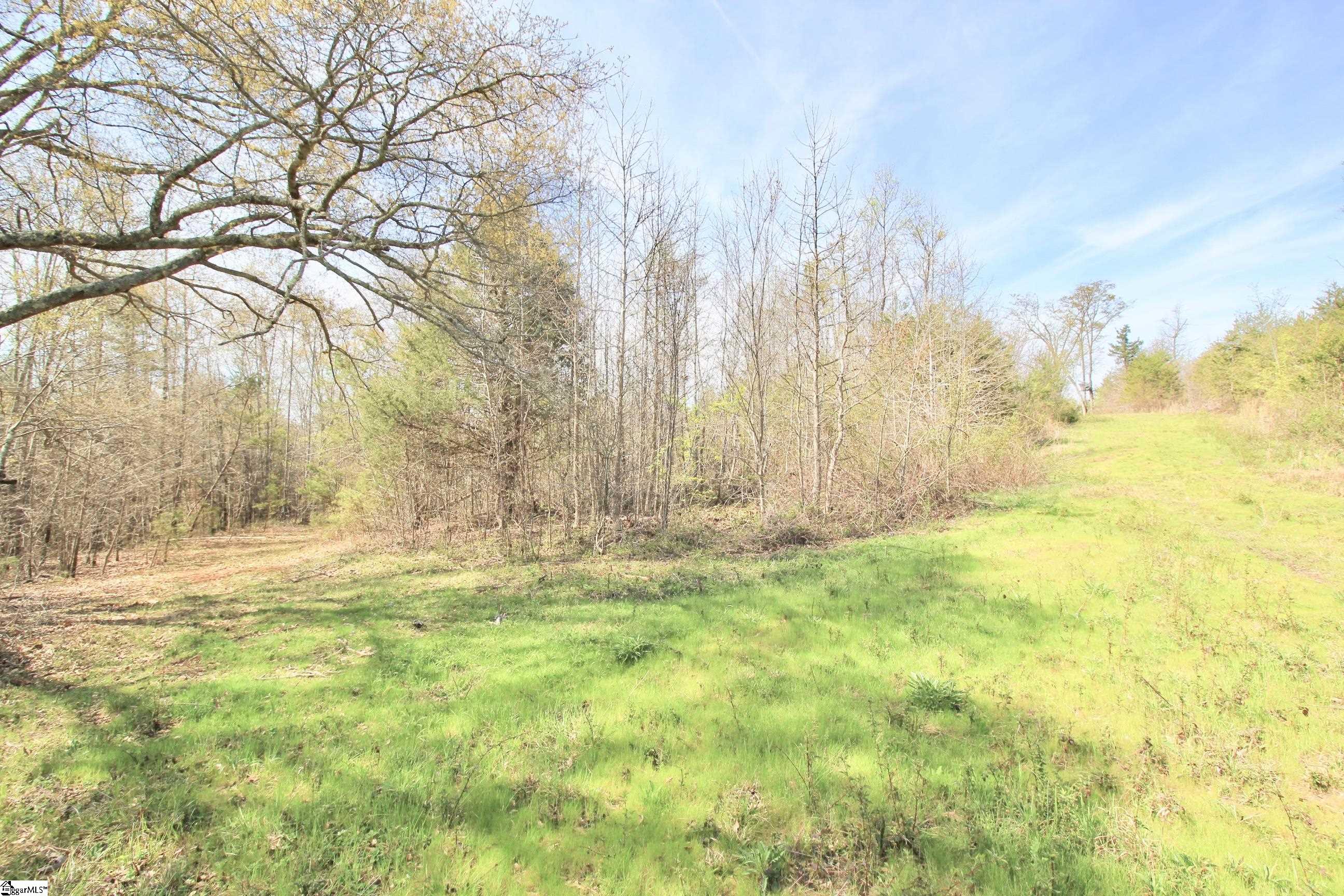 390 Old Mill, Chesnee, South Carolina image 18