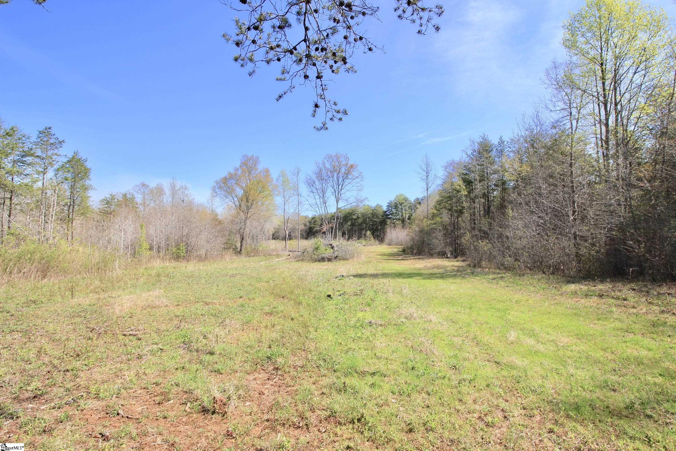 390 Old Mill, Chesnee, South Carolina image 20