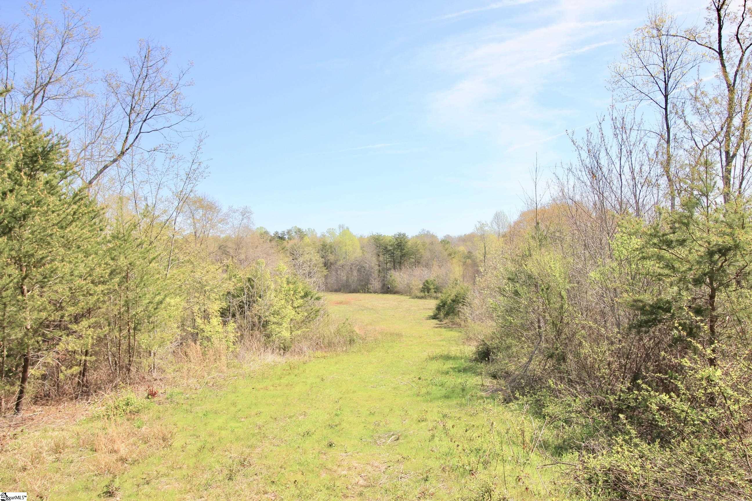 390 Old Mill, Chesnee, South Carolina image 21