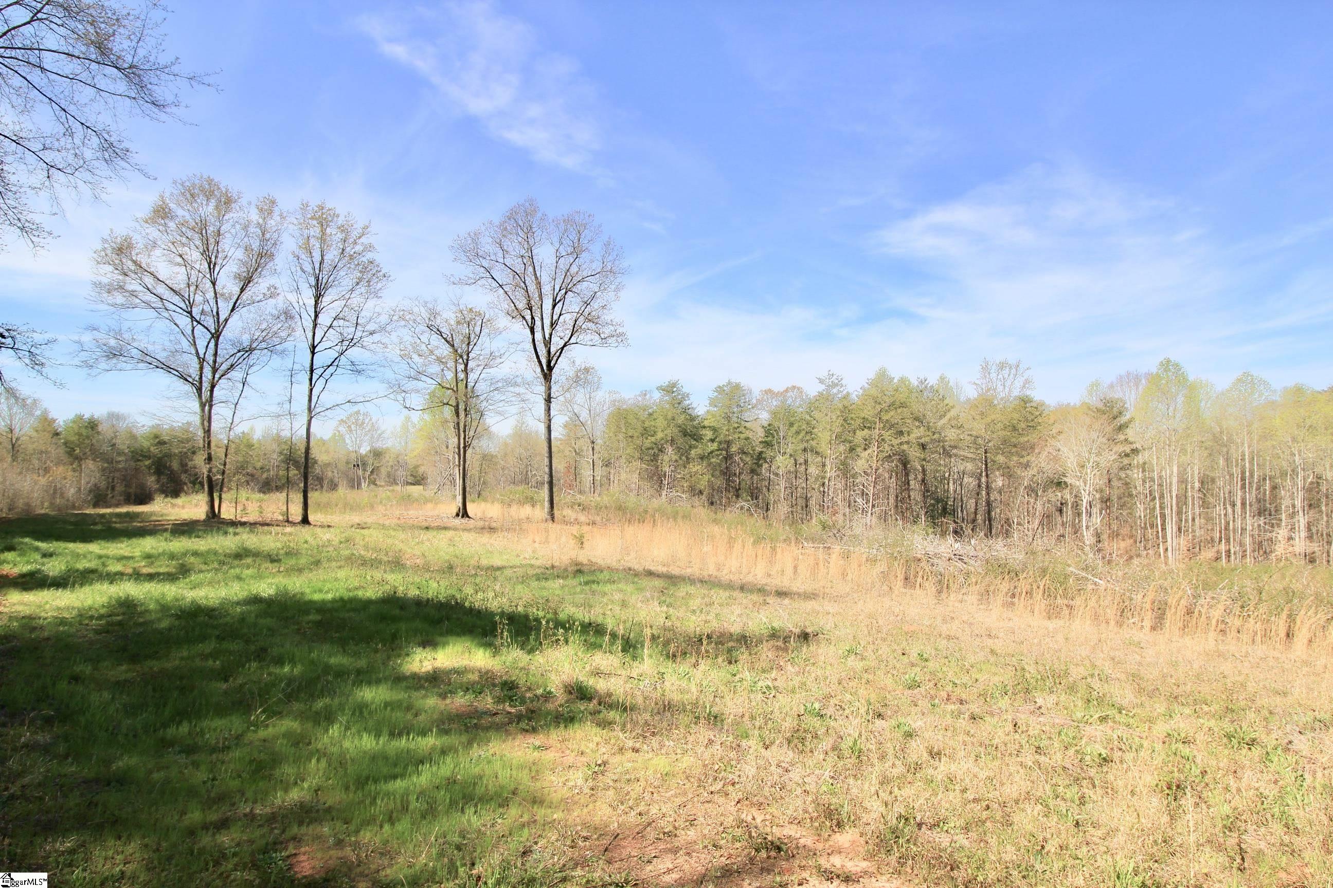 390 Old Mill, Chesnee, South Carolina image 22
