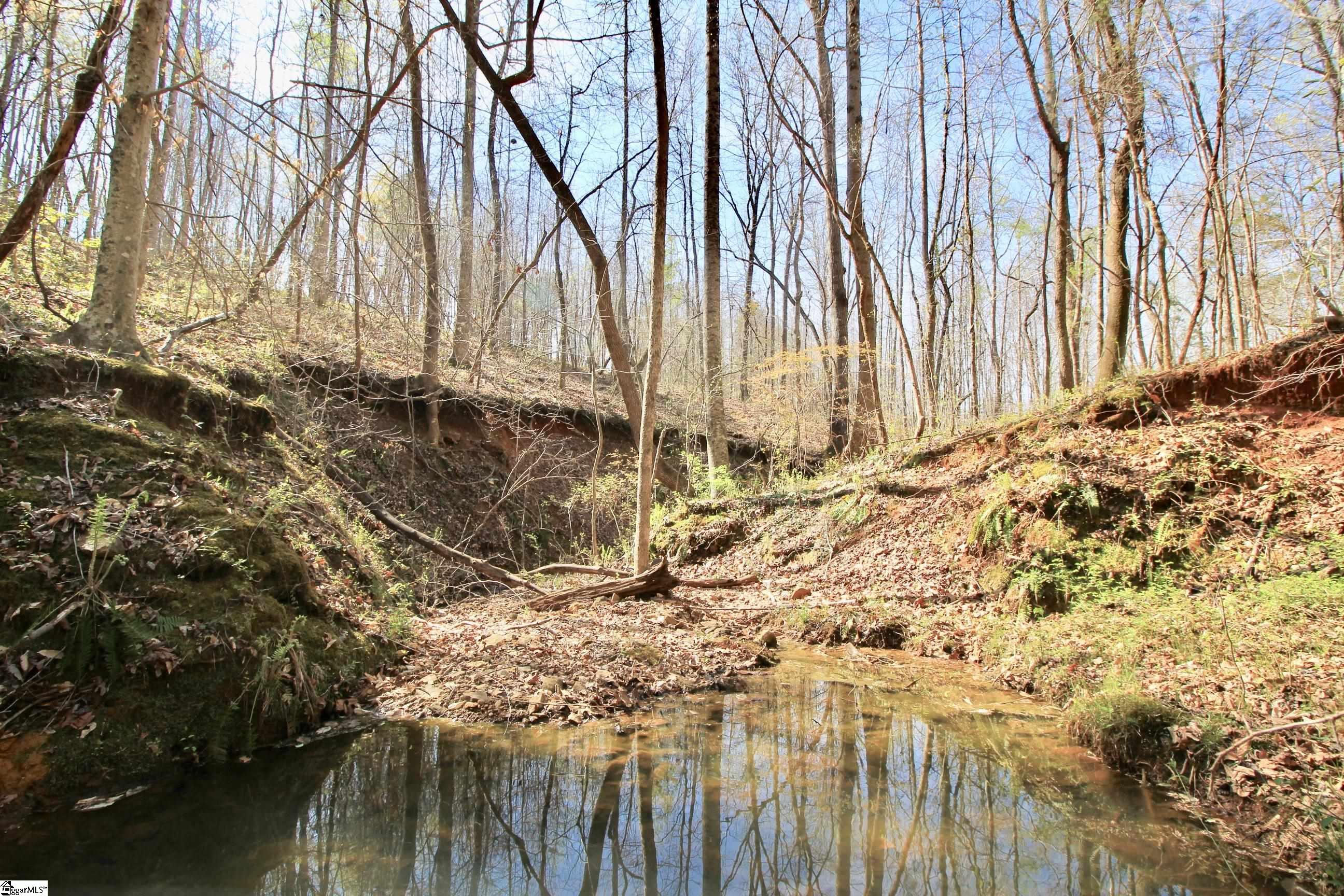390 Old Mill, Chesnee, South Carolina image 23