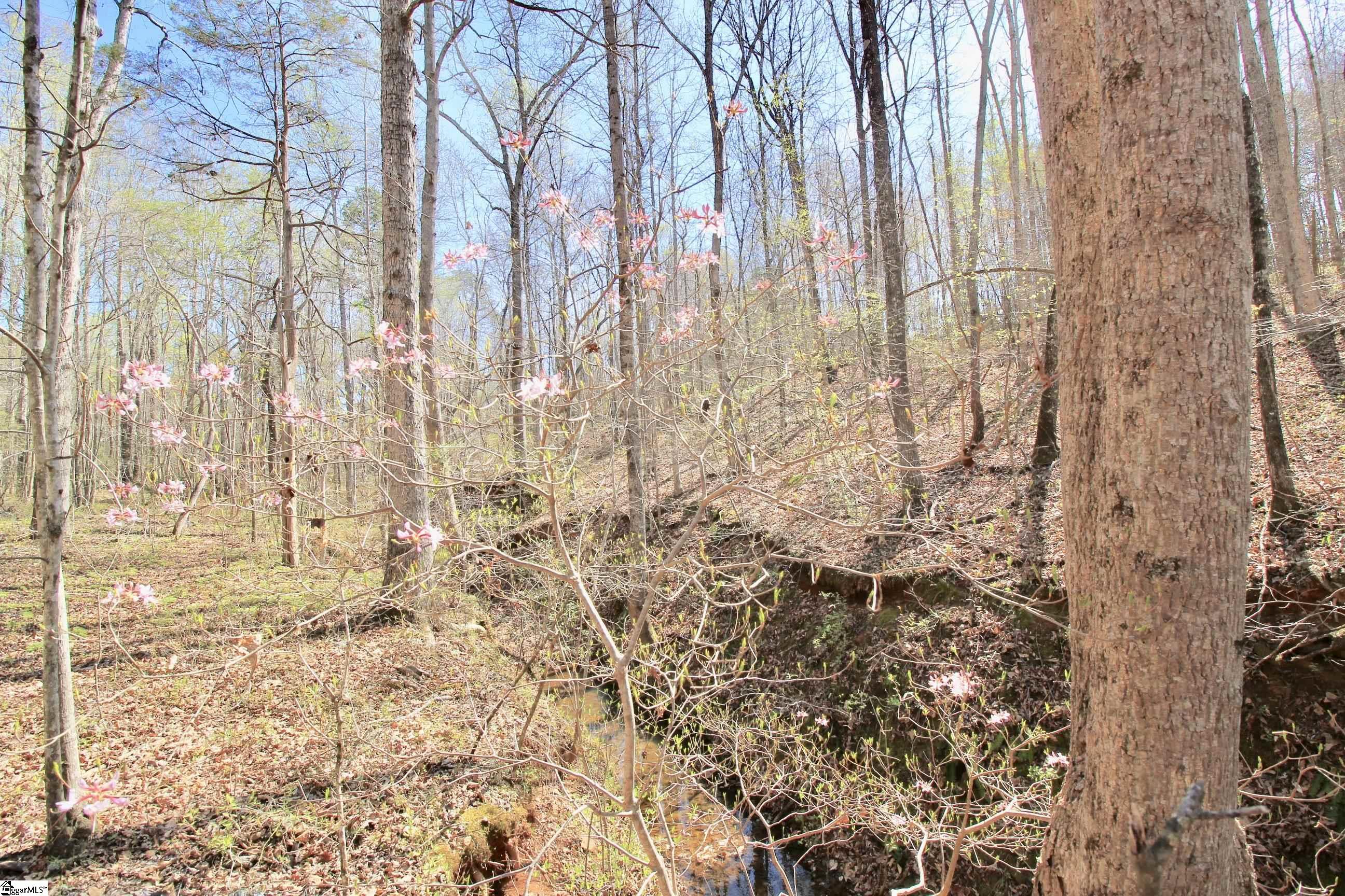 390 Old Mill, Chesnee, South Carolina image 24