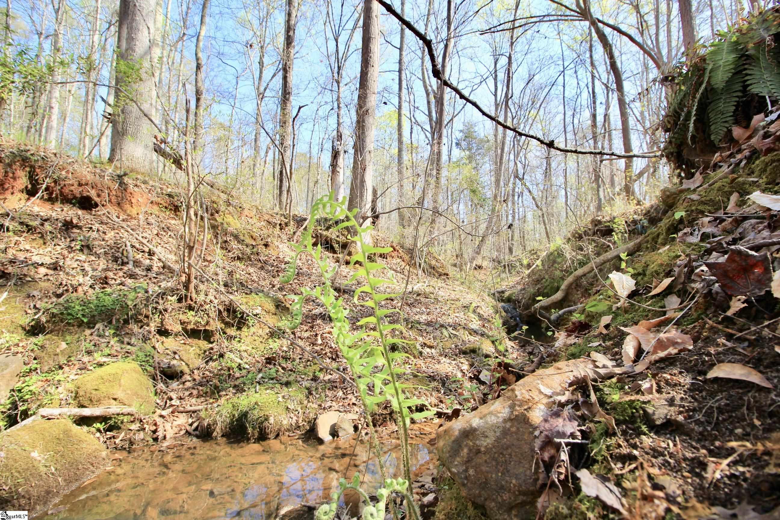390 Old Mill, Chesnee, South Carolina image 25