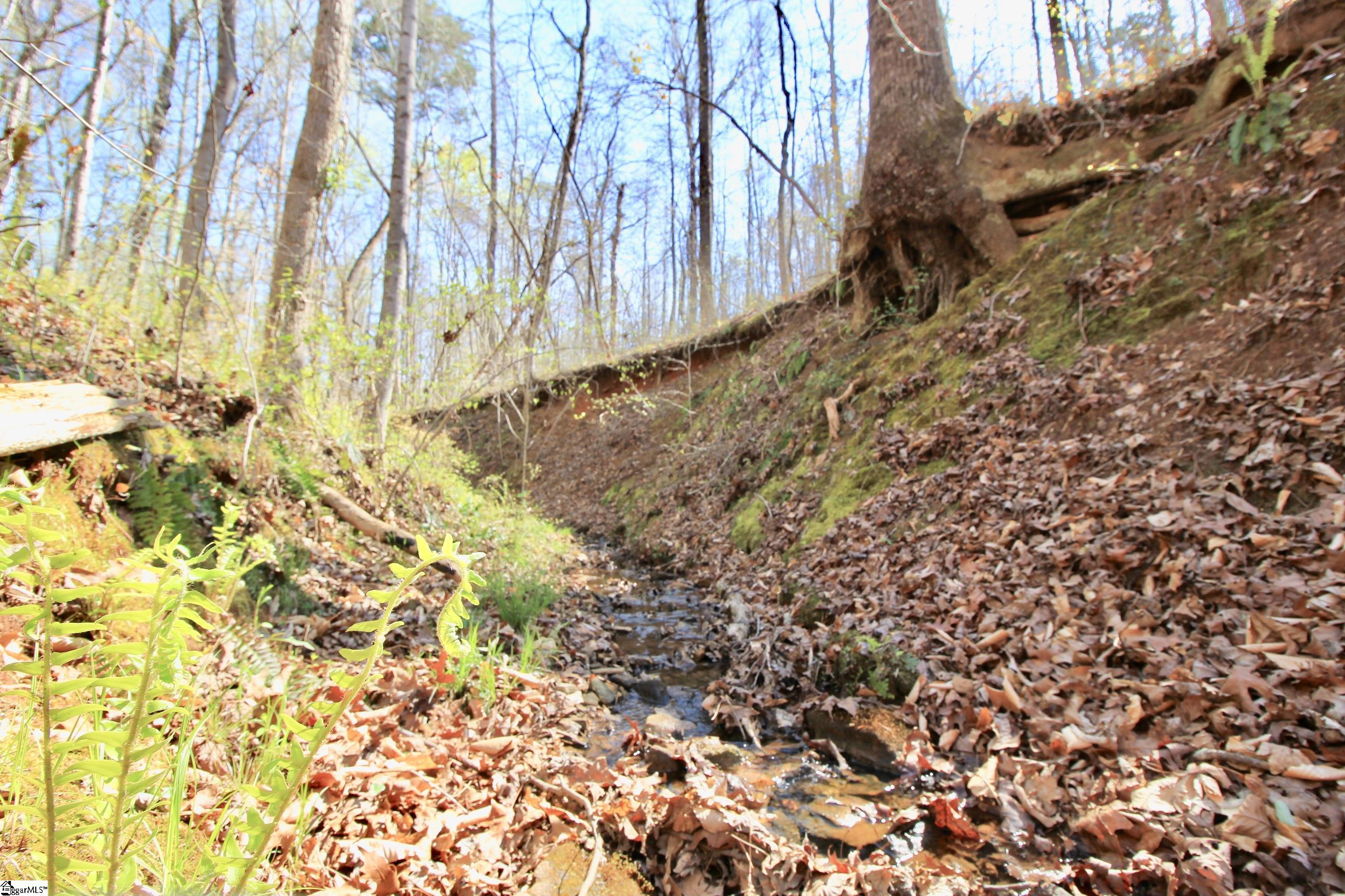 390 Old Mill, Chesnee, South Carolina image 26