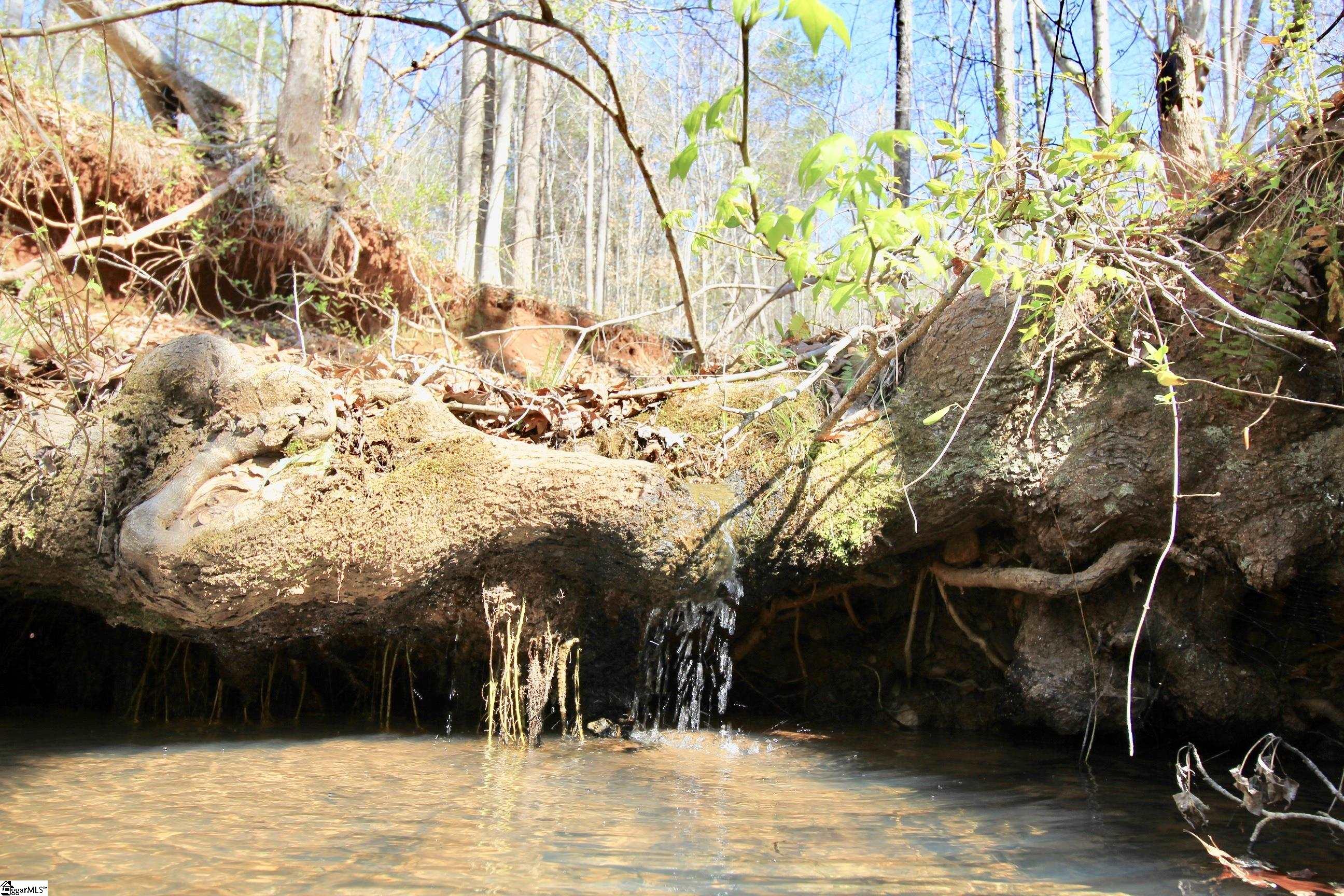 390 Old Mill, Chesnee, South Carolina image 28