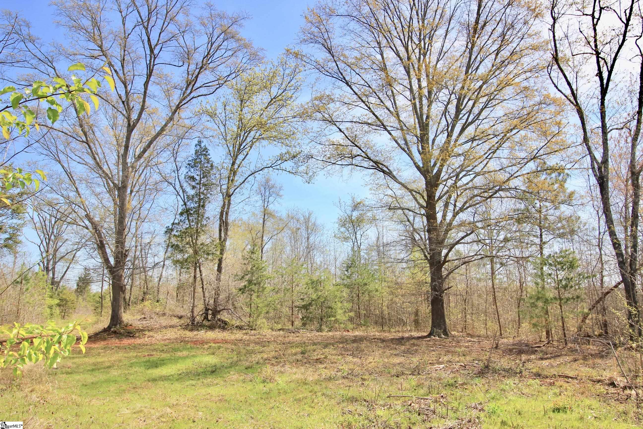 390 Old Mill, Chesnee, South Carolina image 29