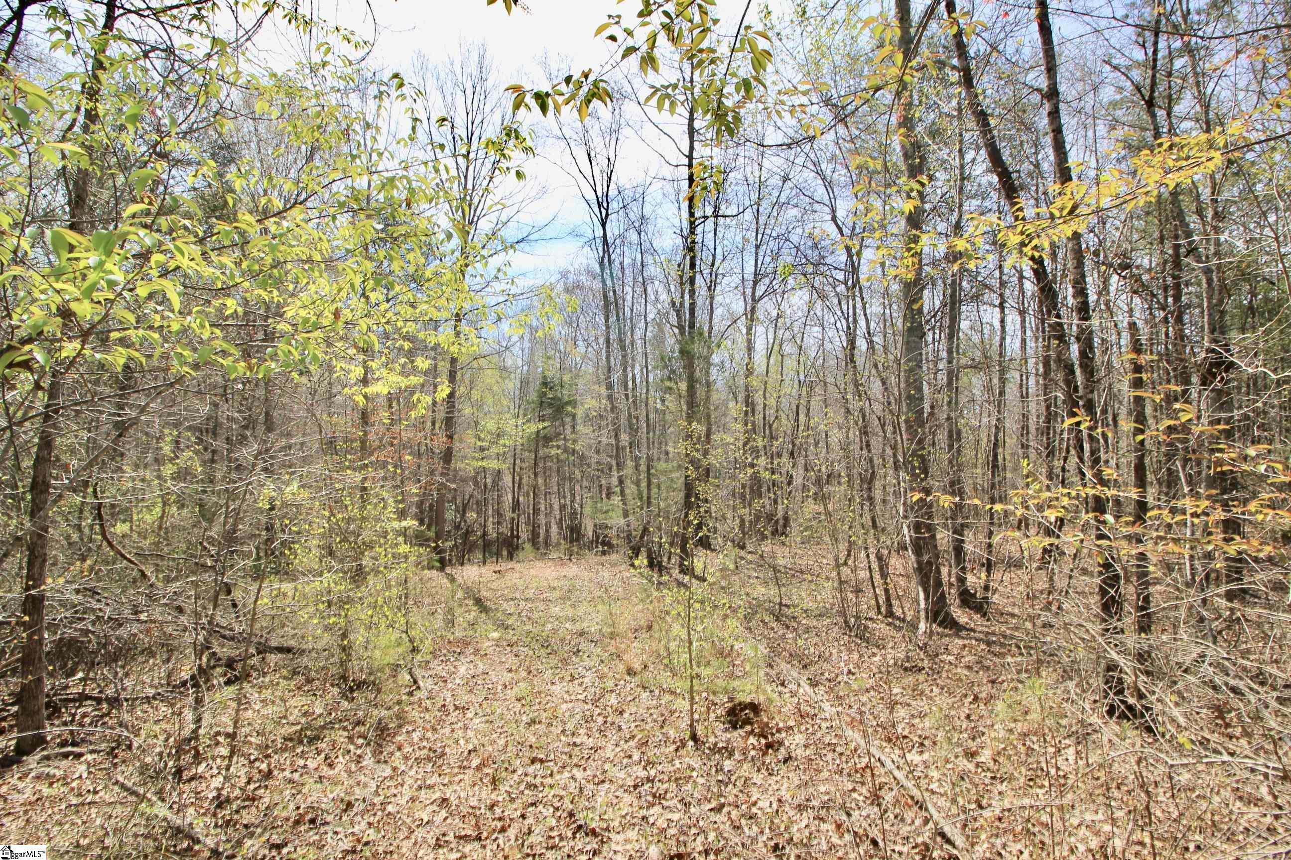 390 Old Mill, Chesnee, South Carolina image 31