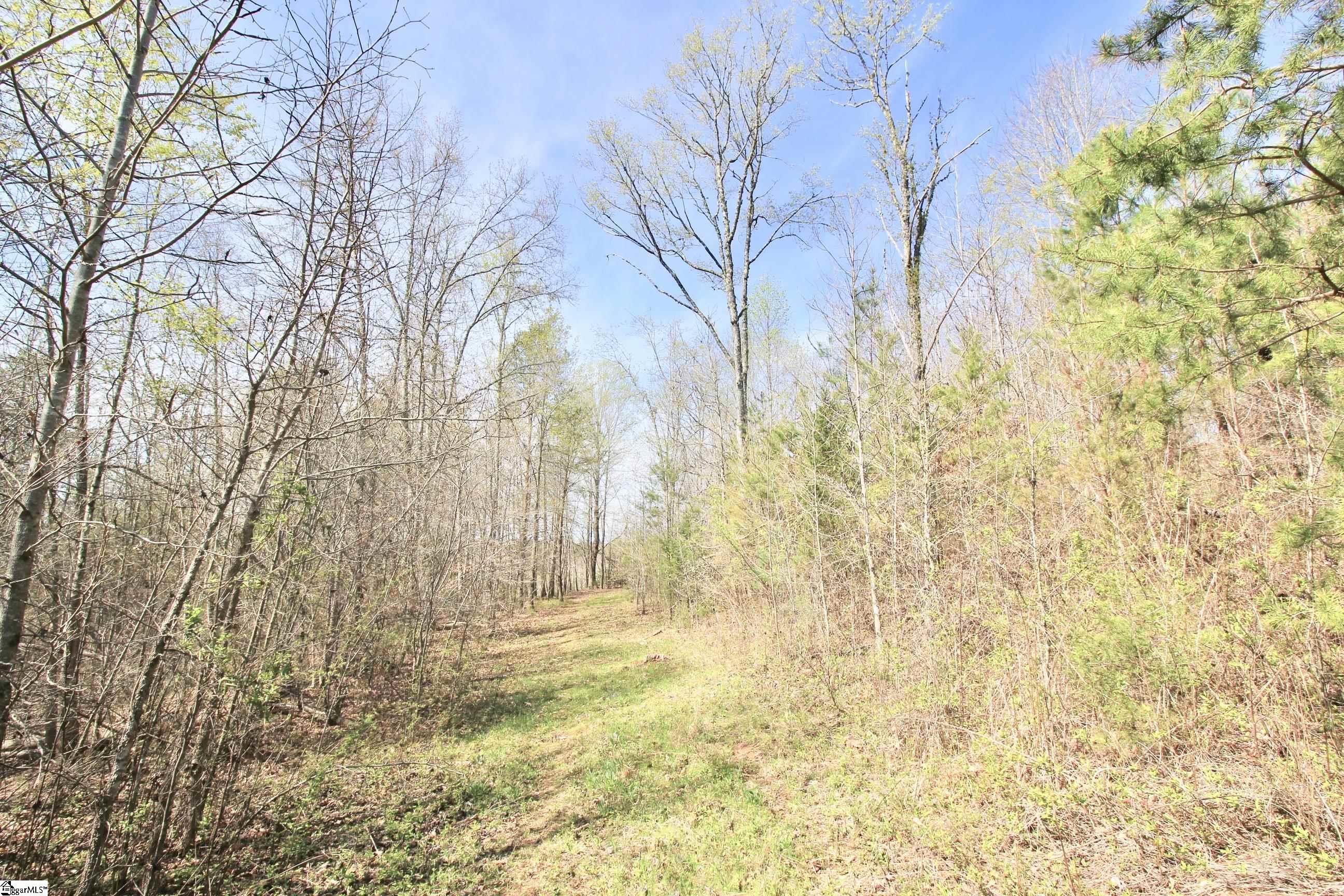 390 Old Mill, Chesnee, South Carolina image 32
