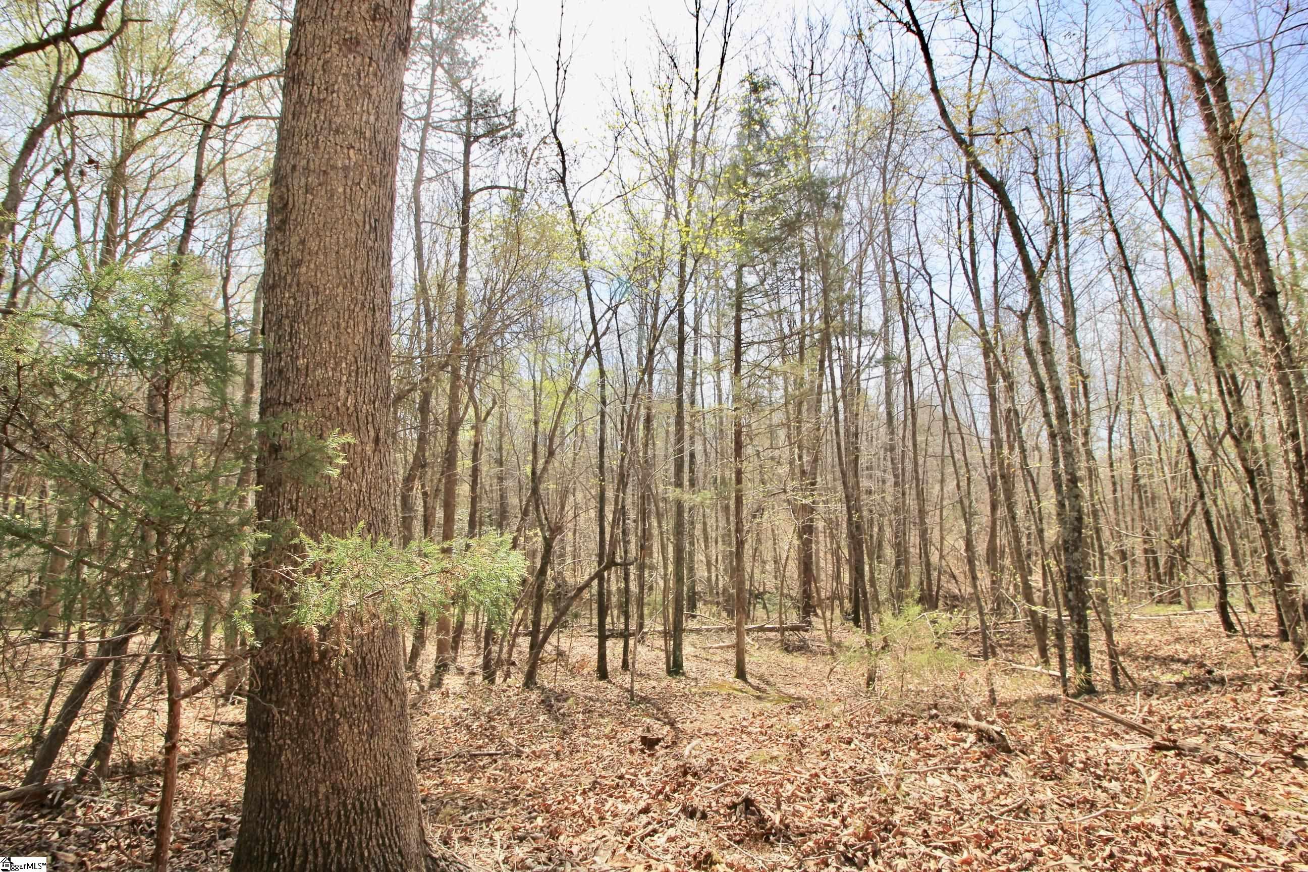 390 Old Mill, Chesnee, South Carolina image 33