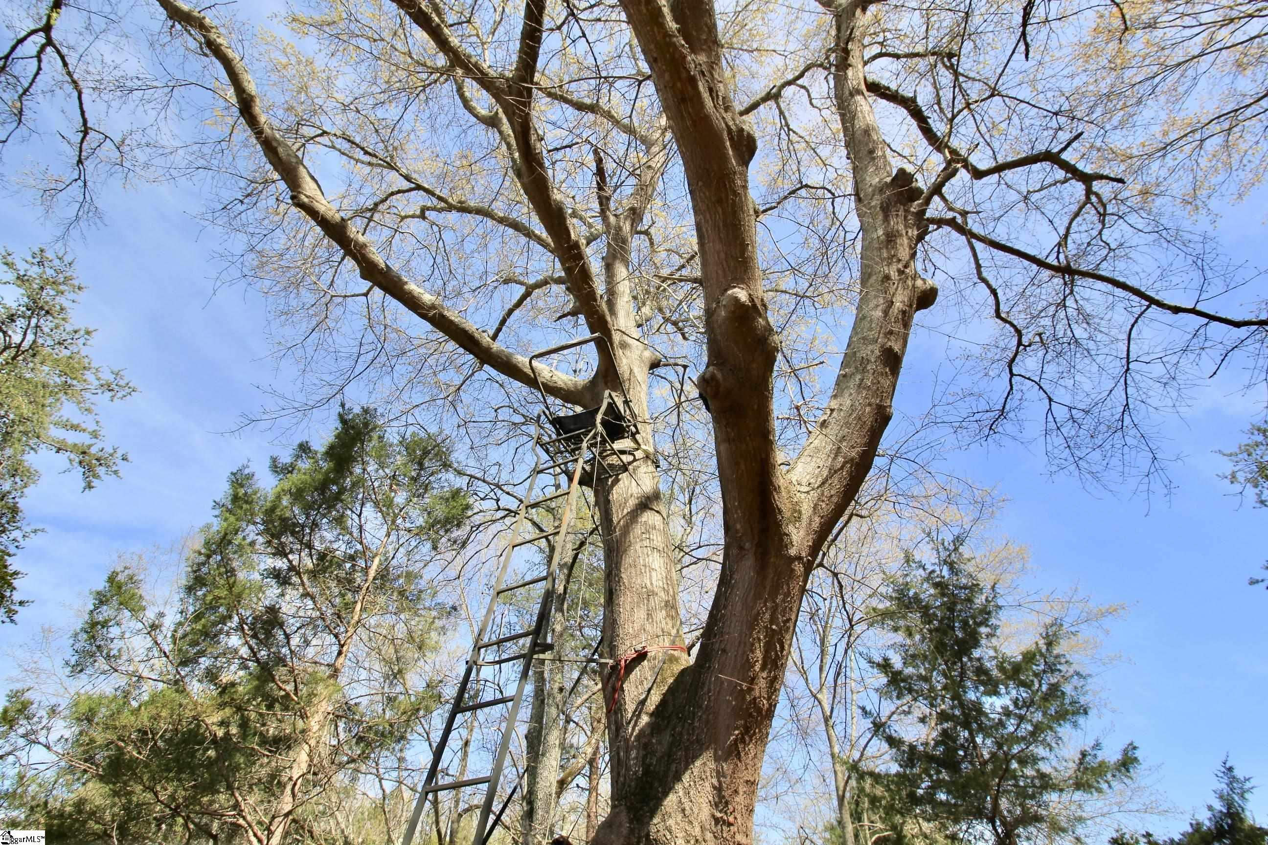 390 Old Mill, Chesnee, South Carolina image 35