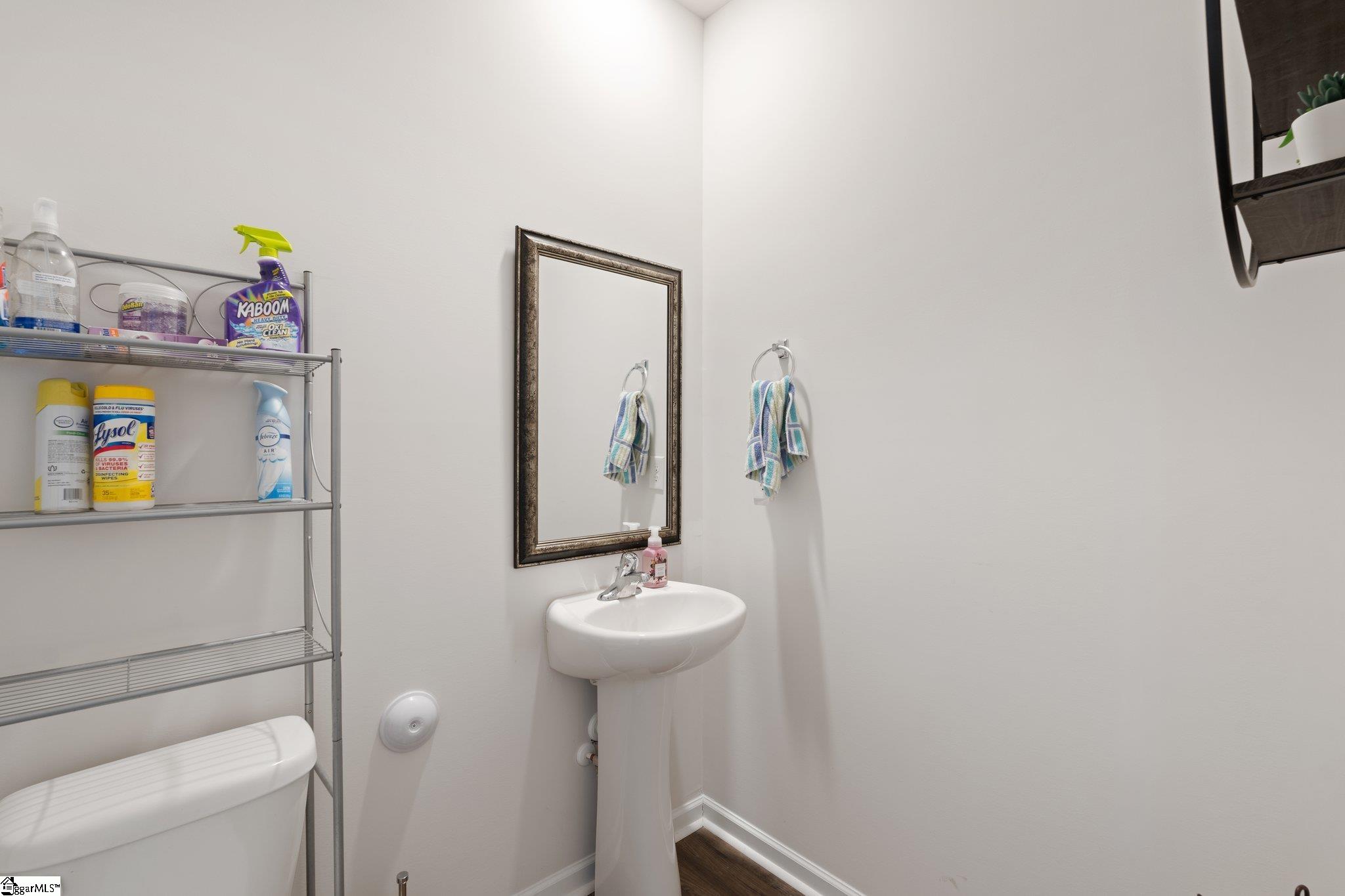 19 Darrowby, Simpsonville, South Carolina image 18