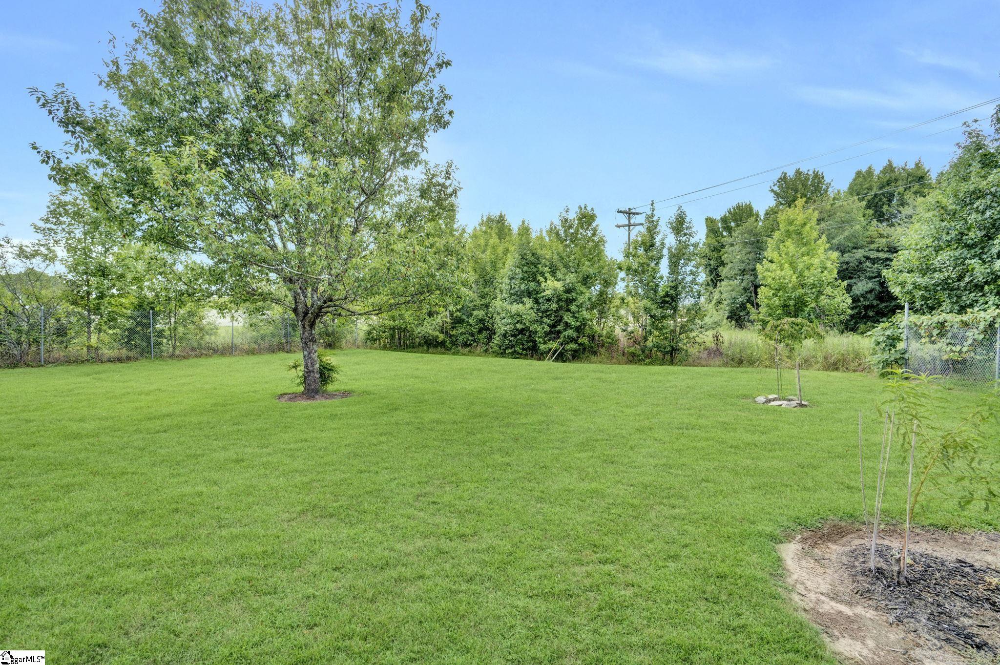 214 Lakeview, Simpsonville, South Carolina image 46