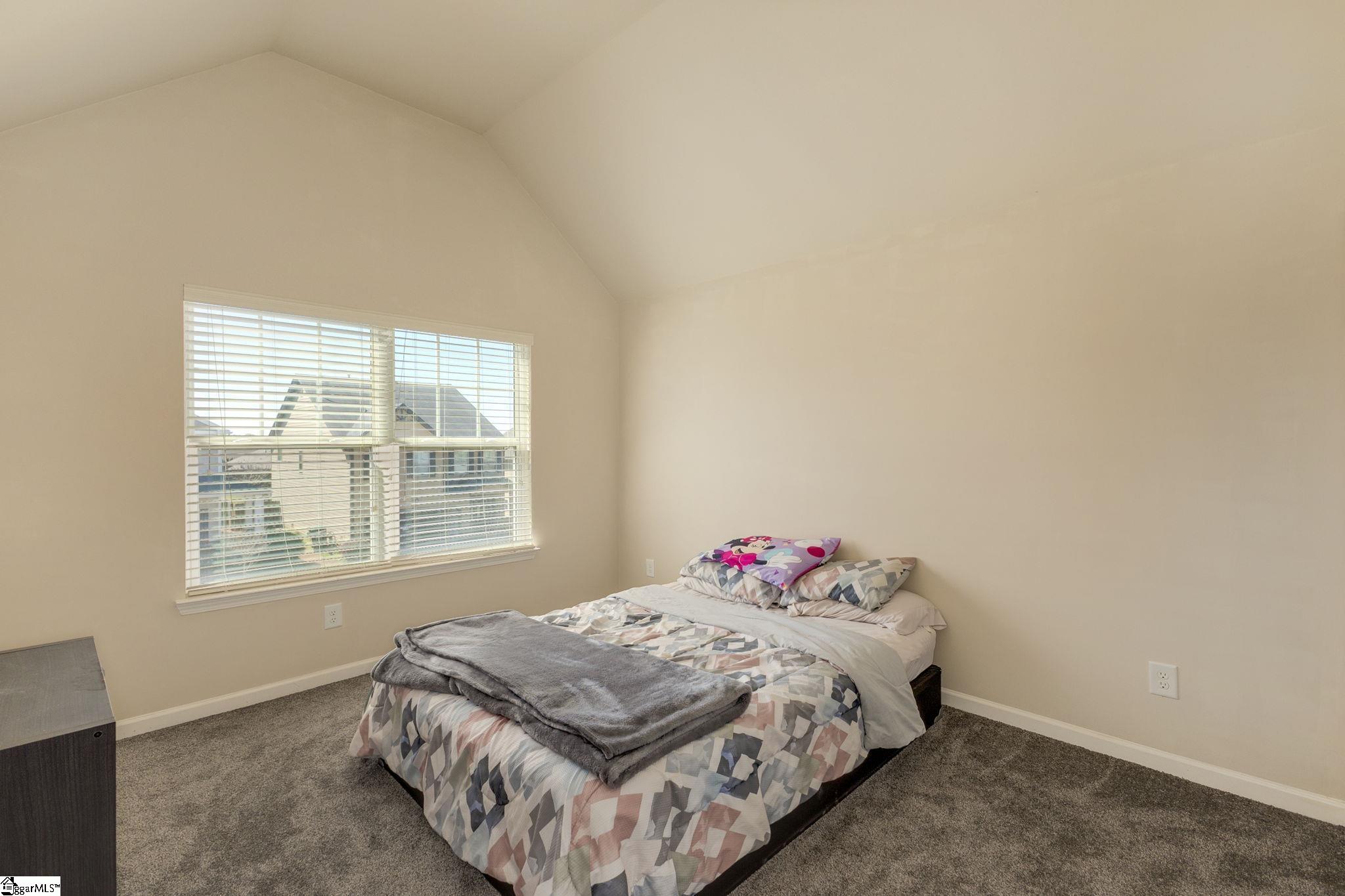 161 Border, Simpsonville, South Carolina image 21