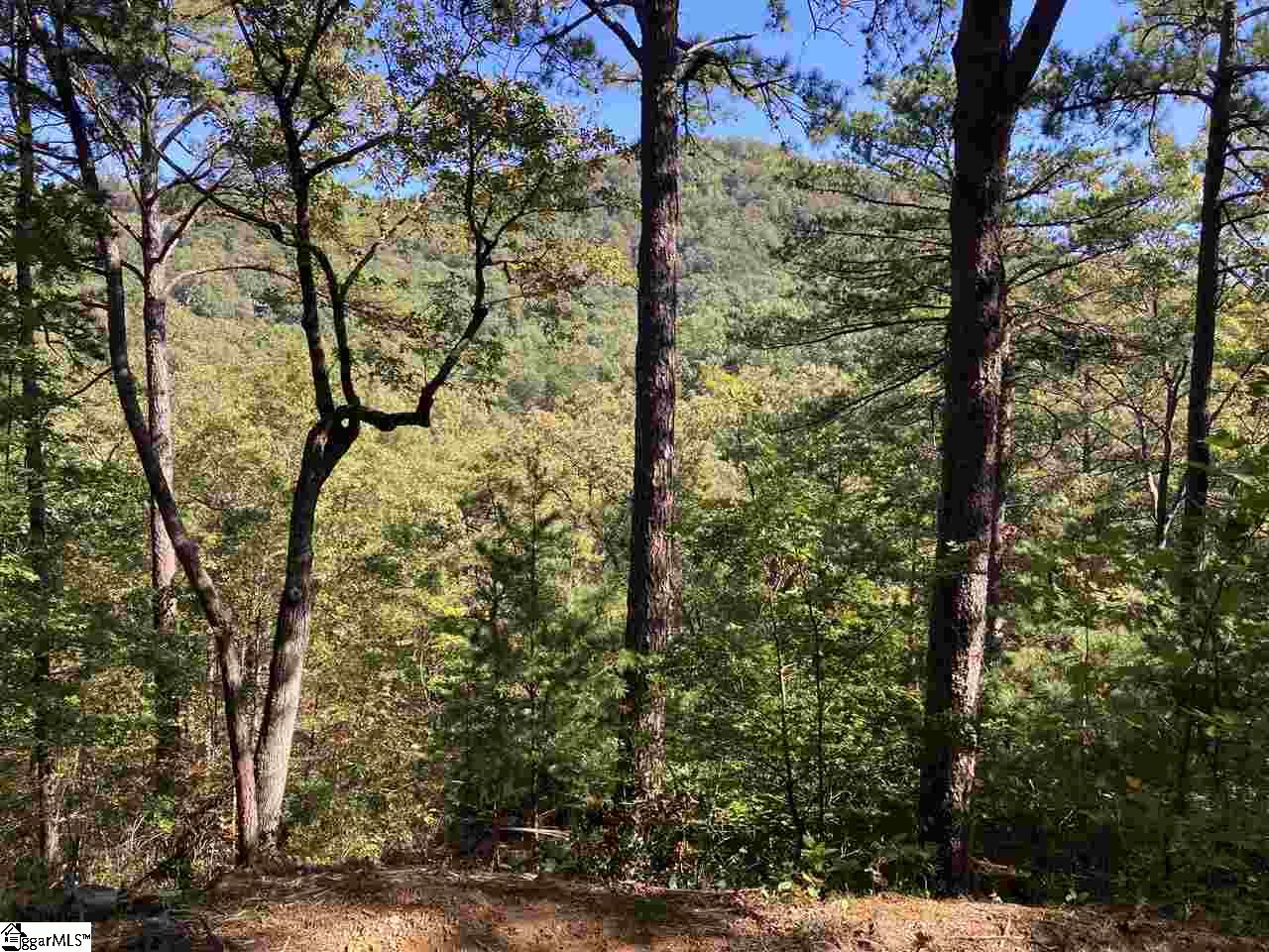 19 Foggy Ridge, Travelers Rest, South Carolina image 2
