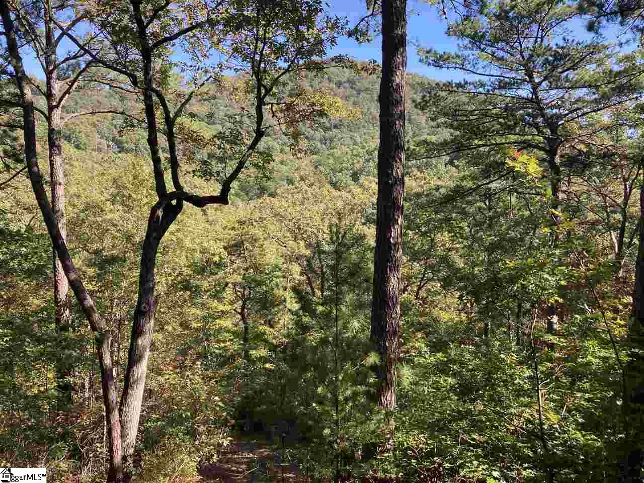 19 Foggy Ridge, Travelers Rest, South Carolina image 4
