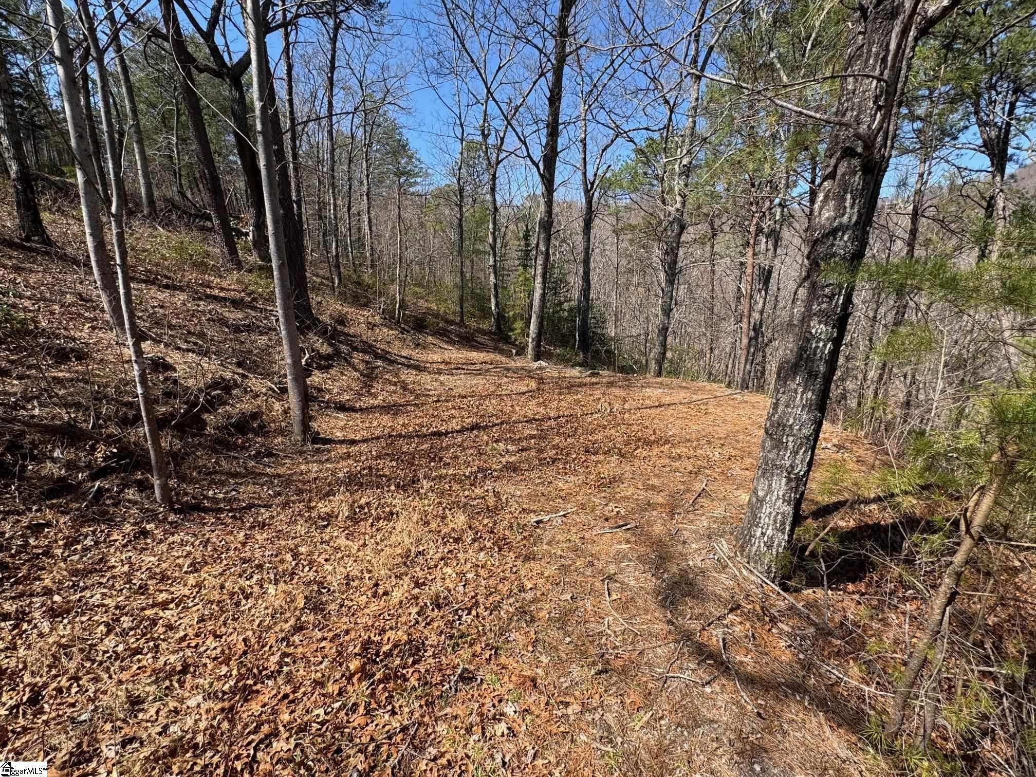 19 Foggy Ridge, Travelers Rest, South Carolina image 5