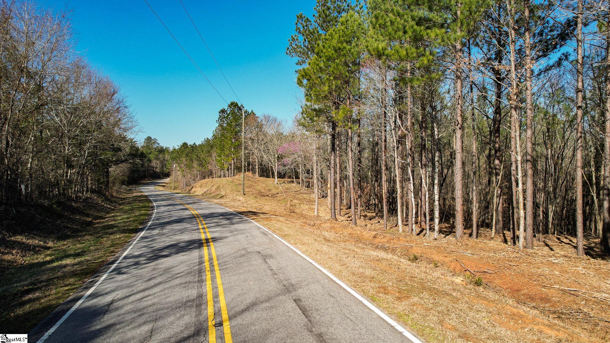 04 Neal Shoals, Union, South Carolina image 15