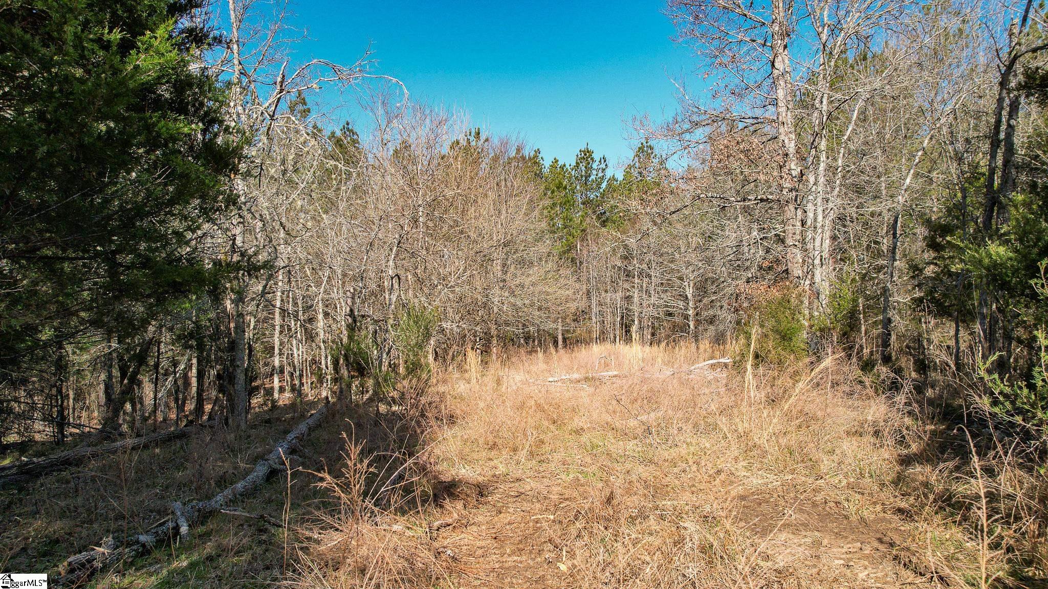 08 Neal Shoals, Union, South Carolina image 9