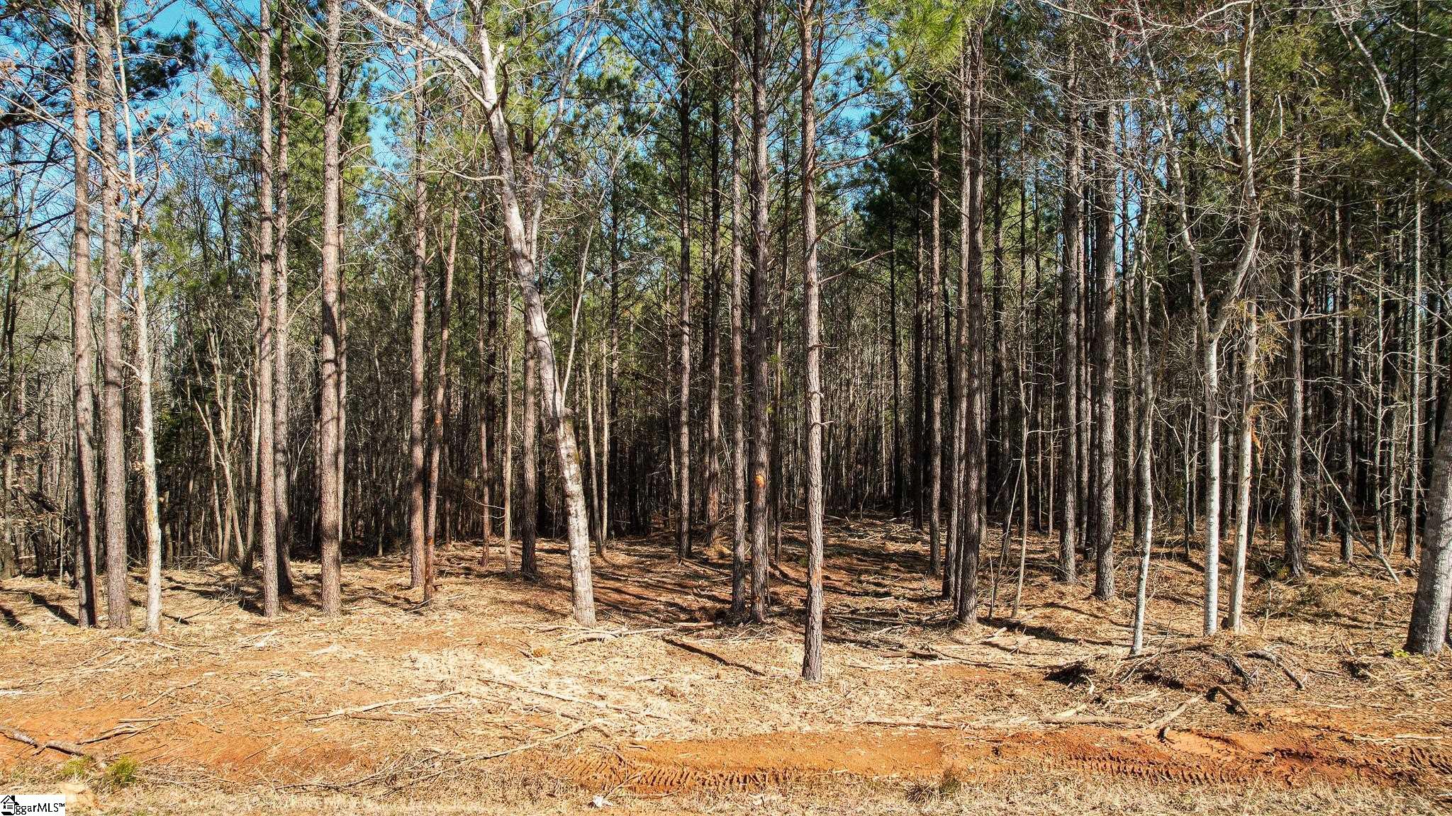 010 Neal Shoals, Union, South Carolina image 16