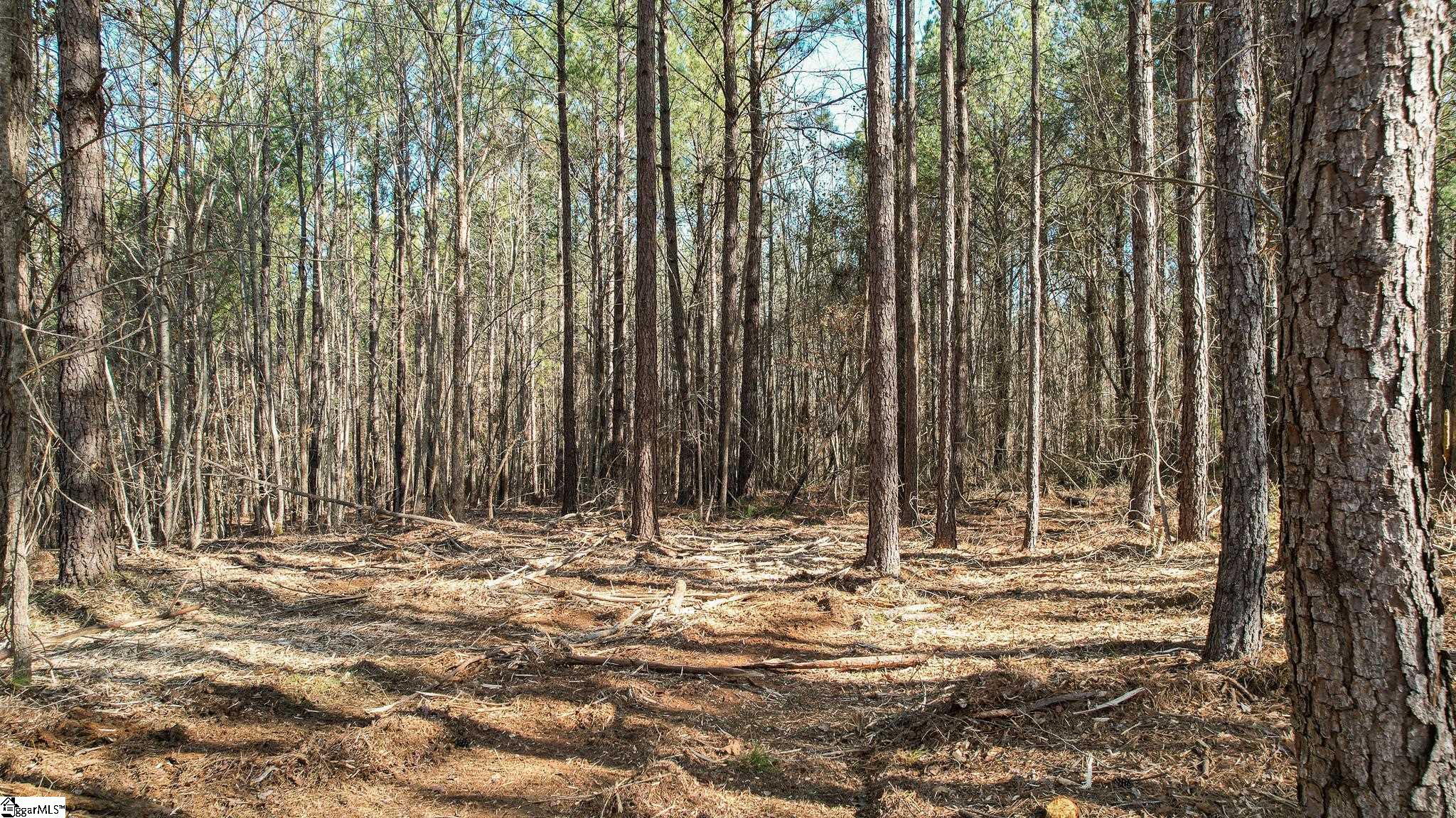 010 Neal Shoals, Union, South Carolina image 17