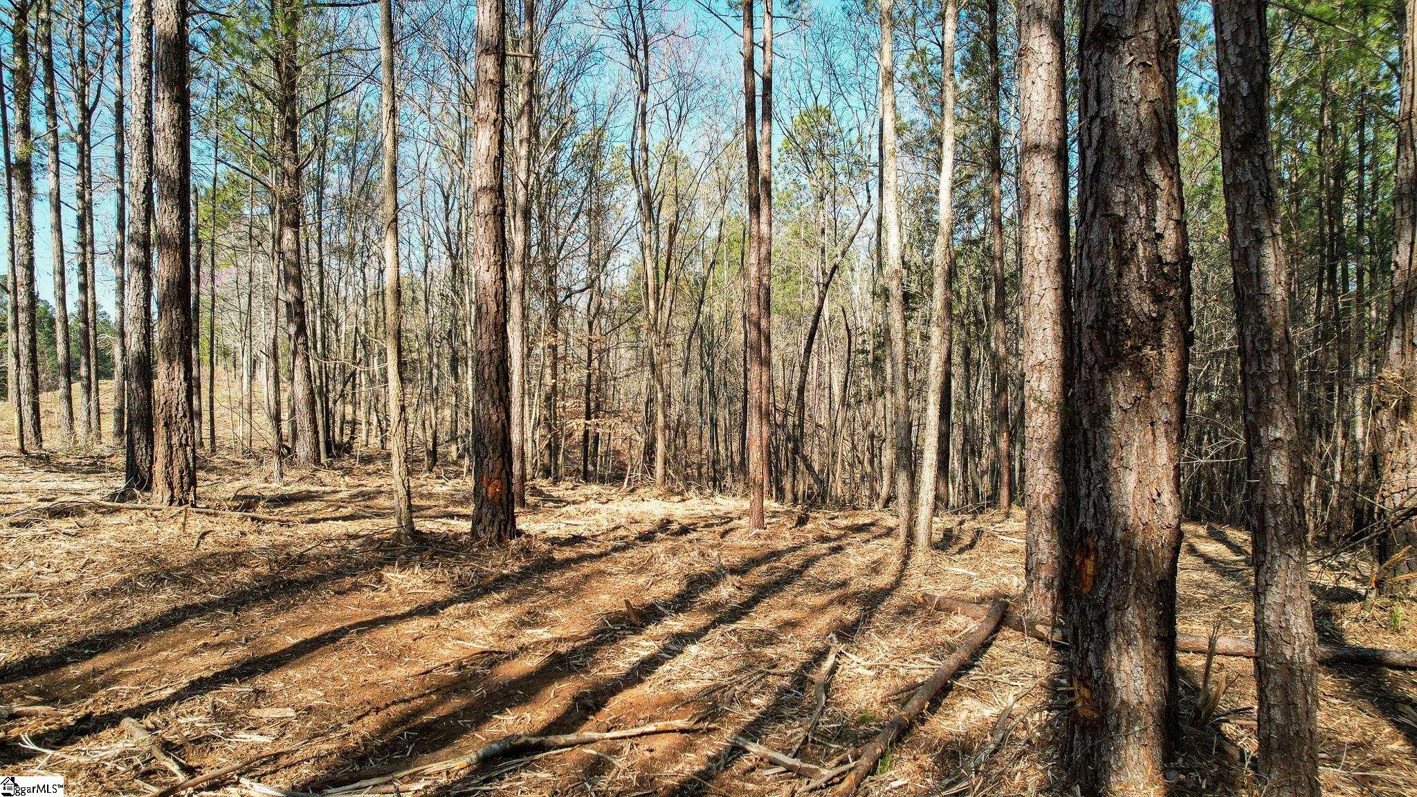 010 Neal Shoals, Union, South Carolina image 18