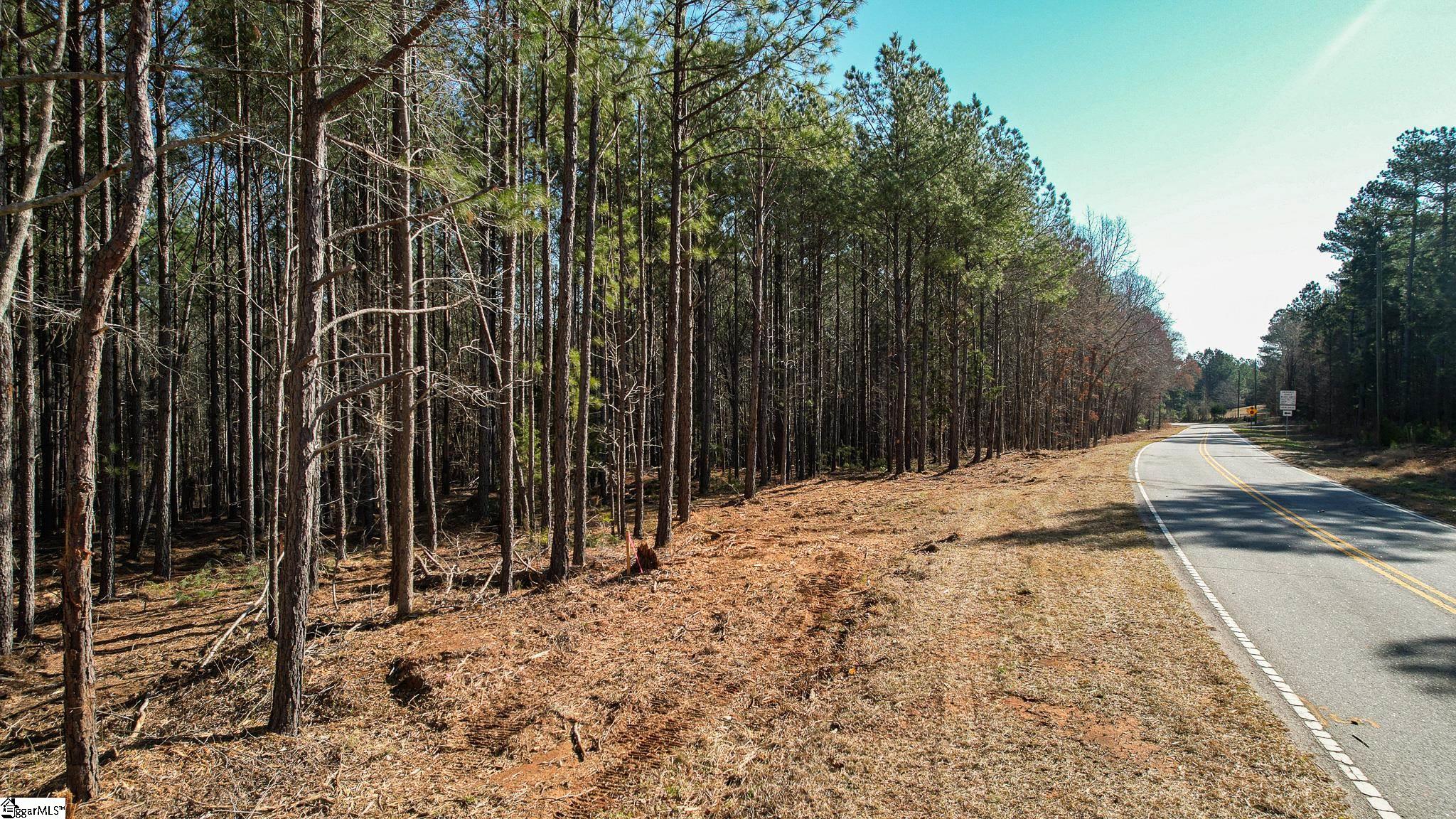010 Neal Shoals, Union, South Carolina image 19