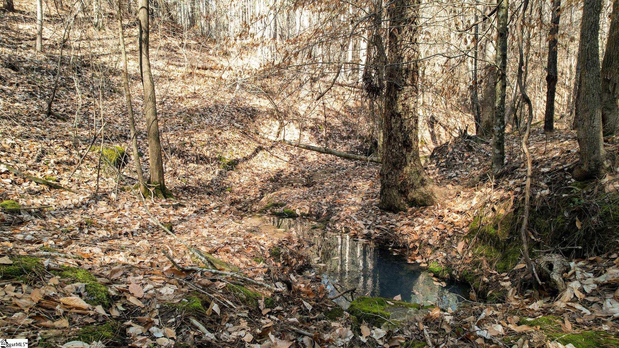 010 Neal Shoals, Union, South Carolina image 7