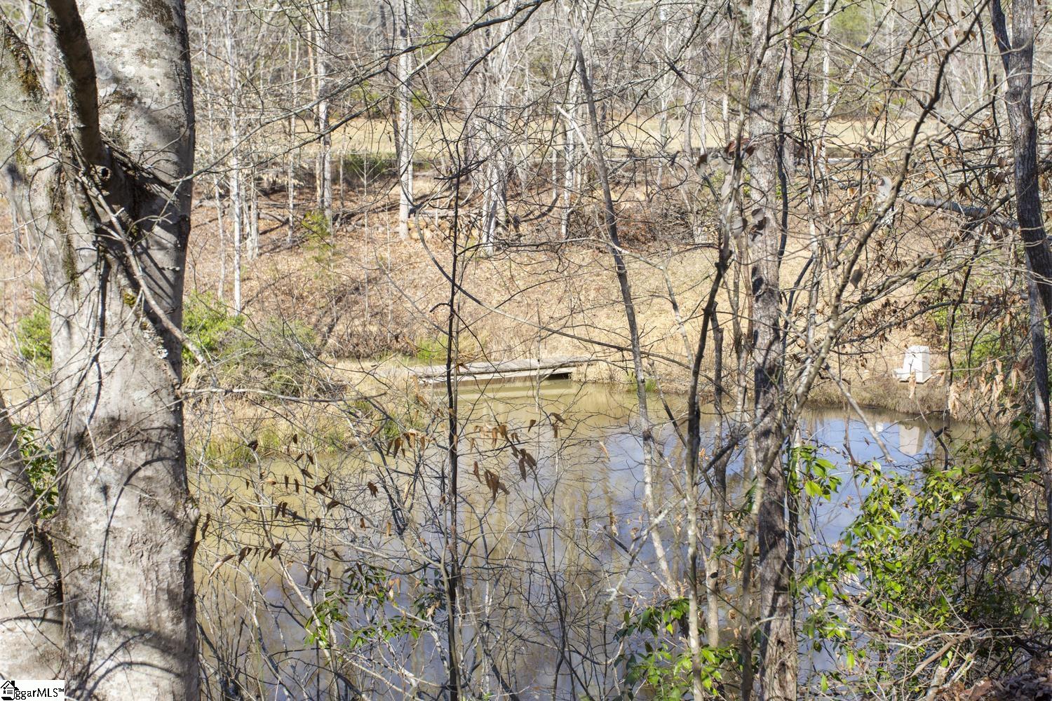 507 Springview, Westminster, South Carolina image 39