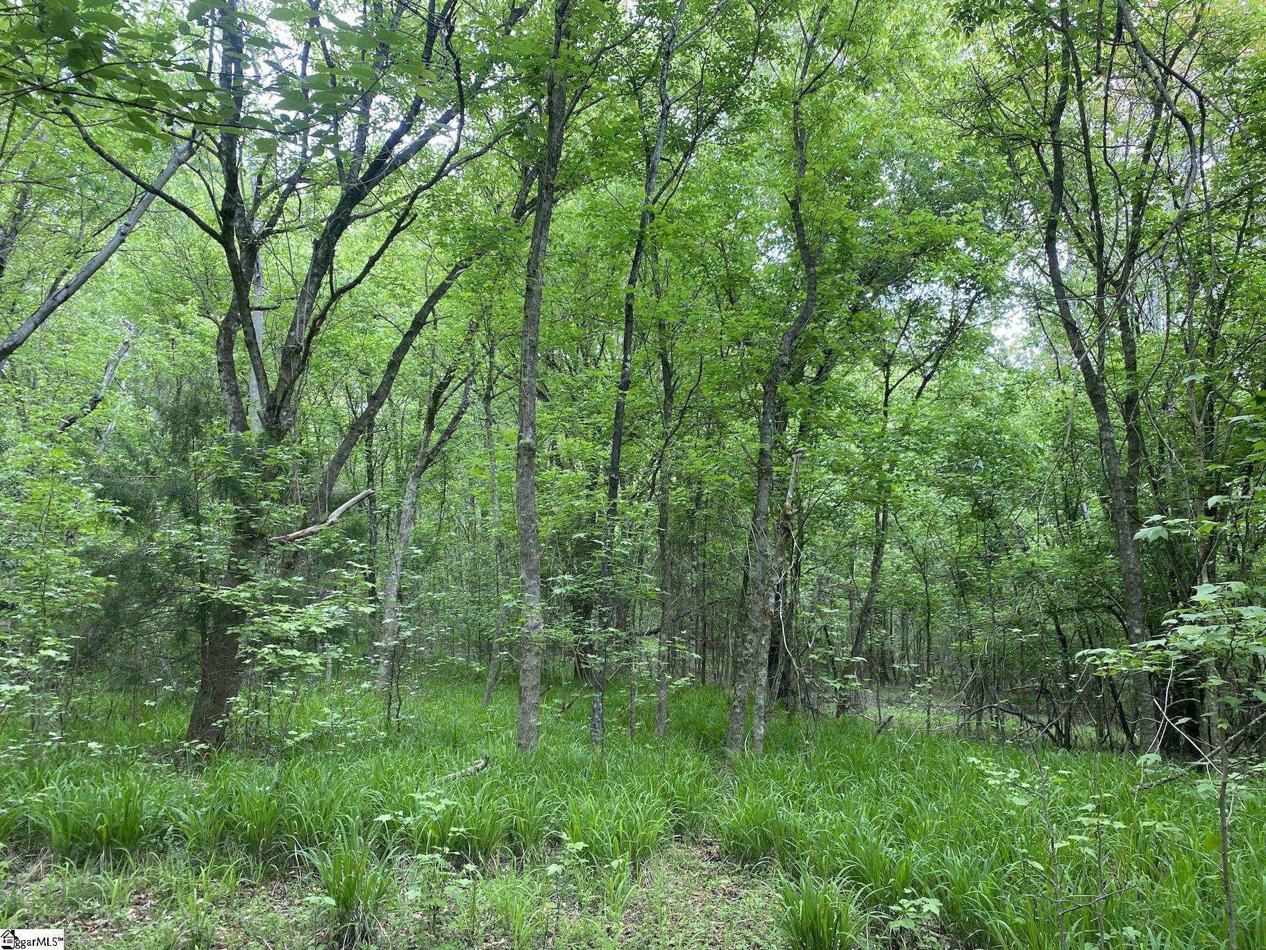 Wingo, Wellford, South Carolina image 3