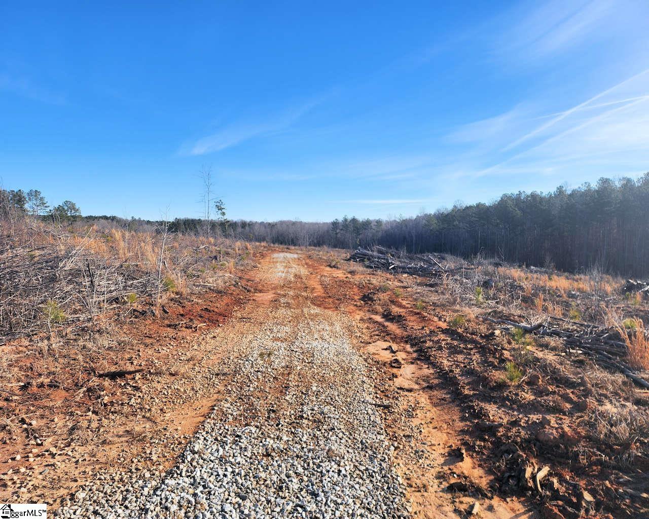 Elledge, Ware Shoals, South Carolina image 12