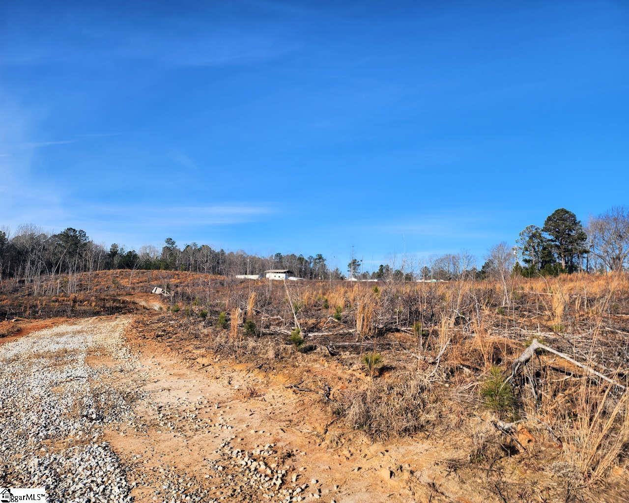 Elledge, Ware Shoals, South Carolina image 13