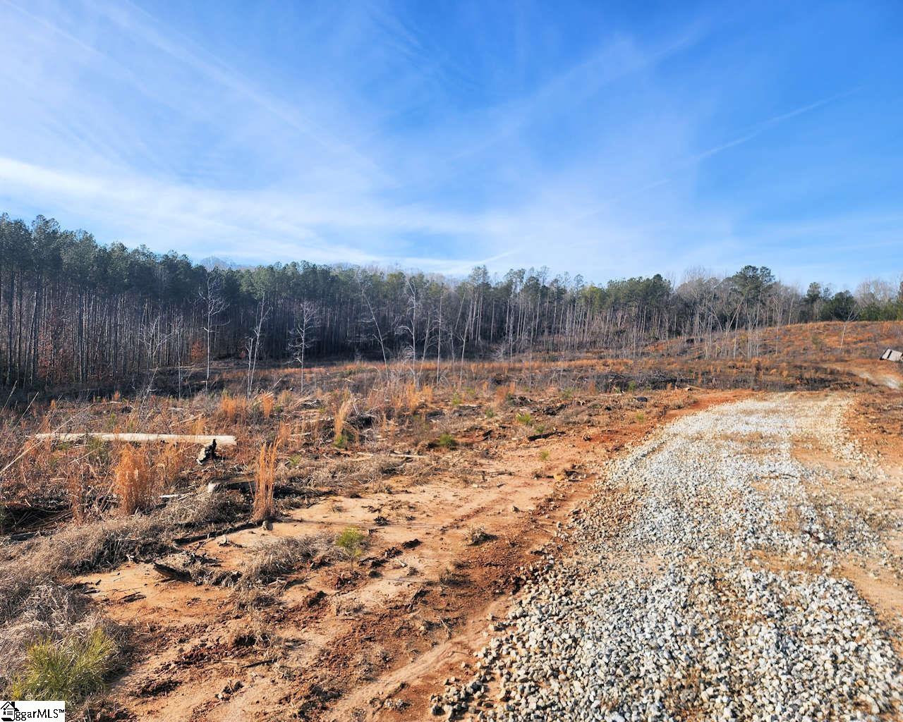 Elledge, Ware Shoals, South Carolina image 15