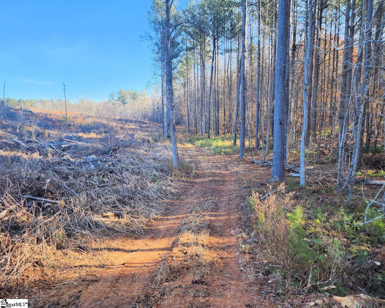Elledge, Ware Shoals, South Carolina image 21